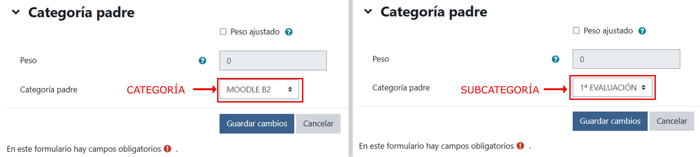 Libro de calificaciones_5_Subcategoría