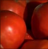 Tomates