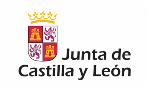 Junta de Castilla y León