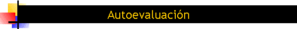 Autoevaluacin