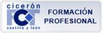 Formaci�n en Centros de Trabajo. Este enlace se abrir&aacute; en una ventana emergente.