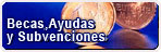 Becas, ayudas y subvenciones uni