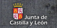 Junta de Castilla y Le&oacute;n. Este enlace se abrir&aacute; en una ventana nueva