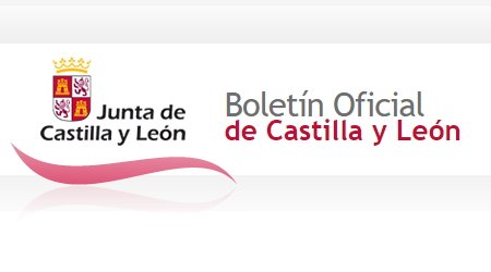 logo bocyl