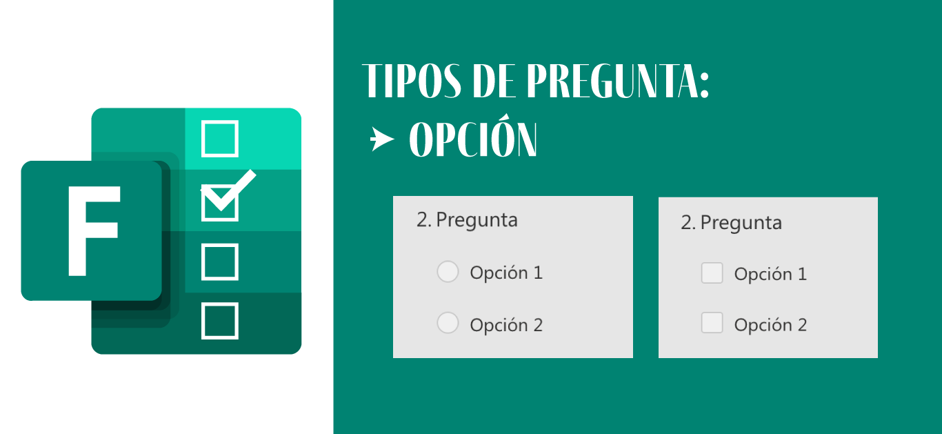 forms.tipo.opcion