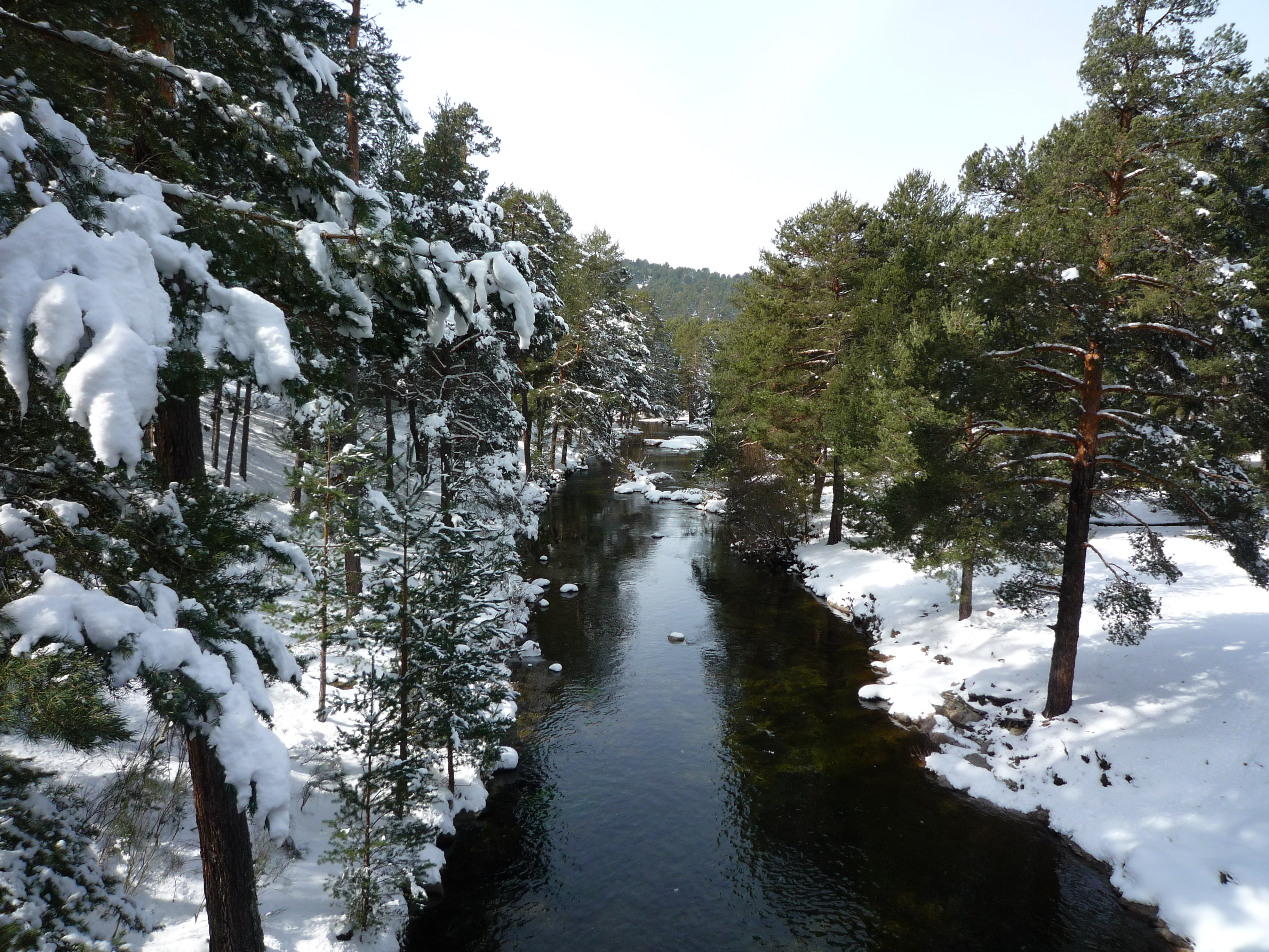 Vista del río Tormes desde el puente del Duque