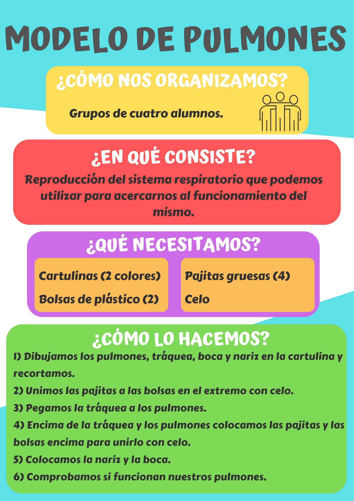INFOGRAFÍA MODELO DE PULMONES