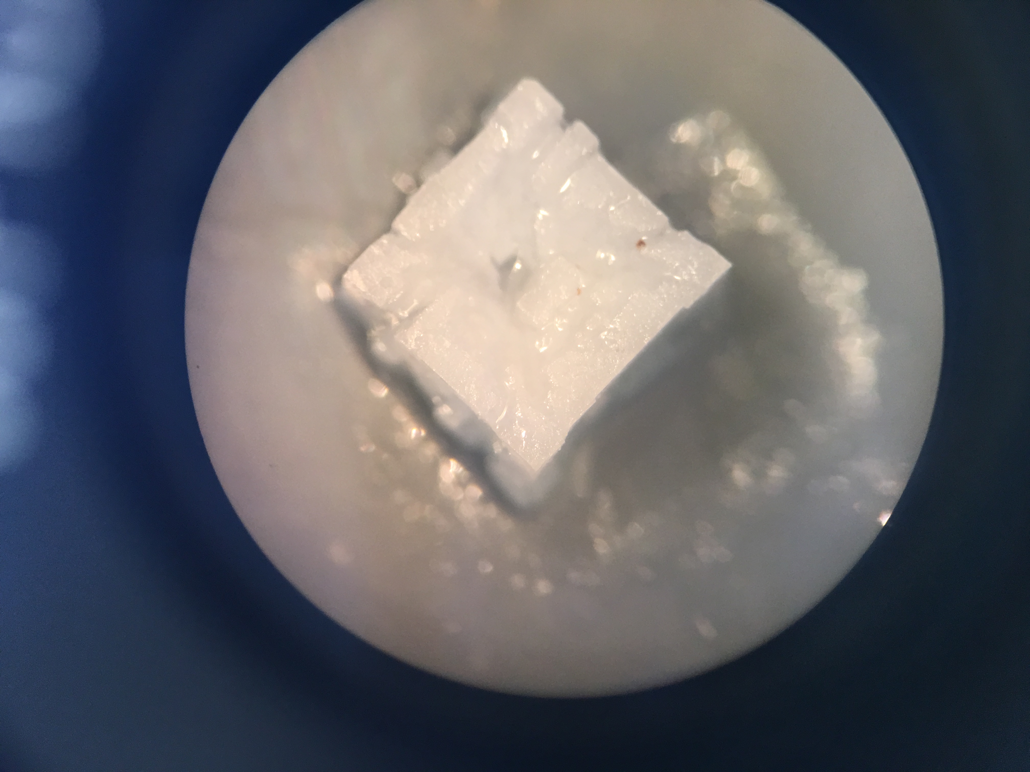 cristal de sal común