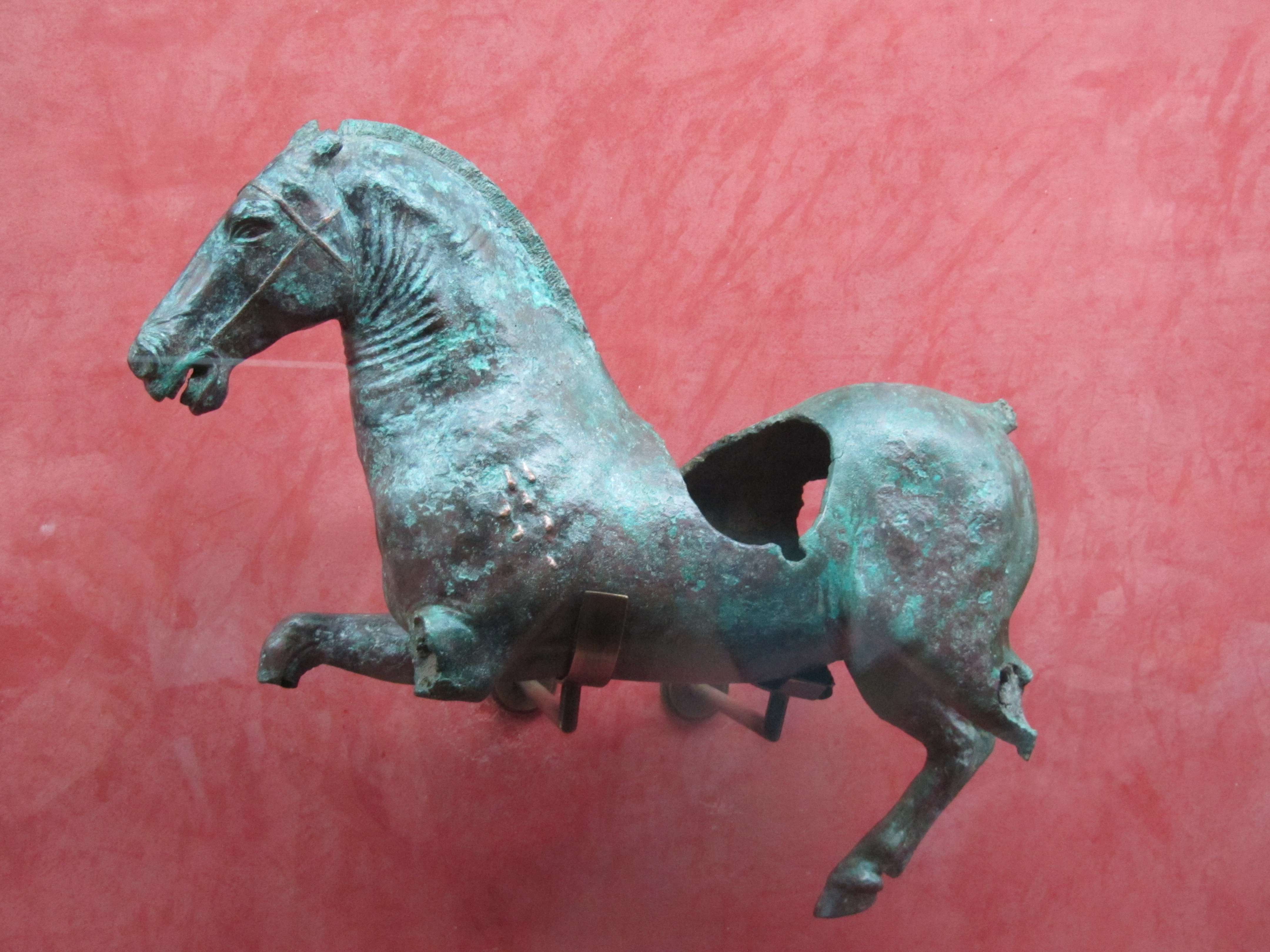 4. MNAR CABALLO IMG_0402