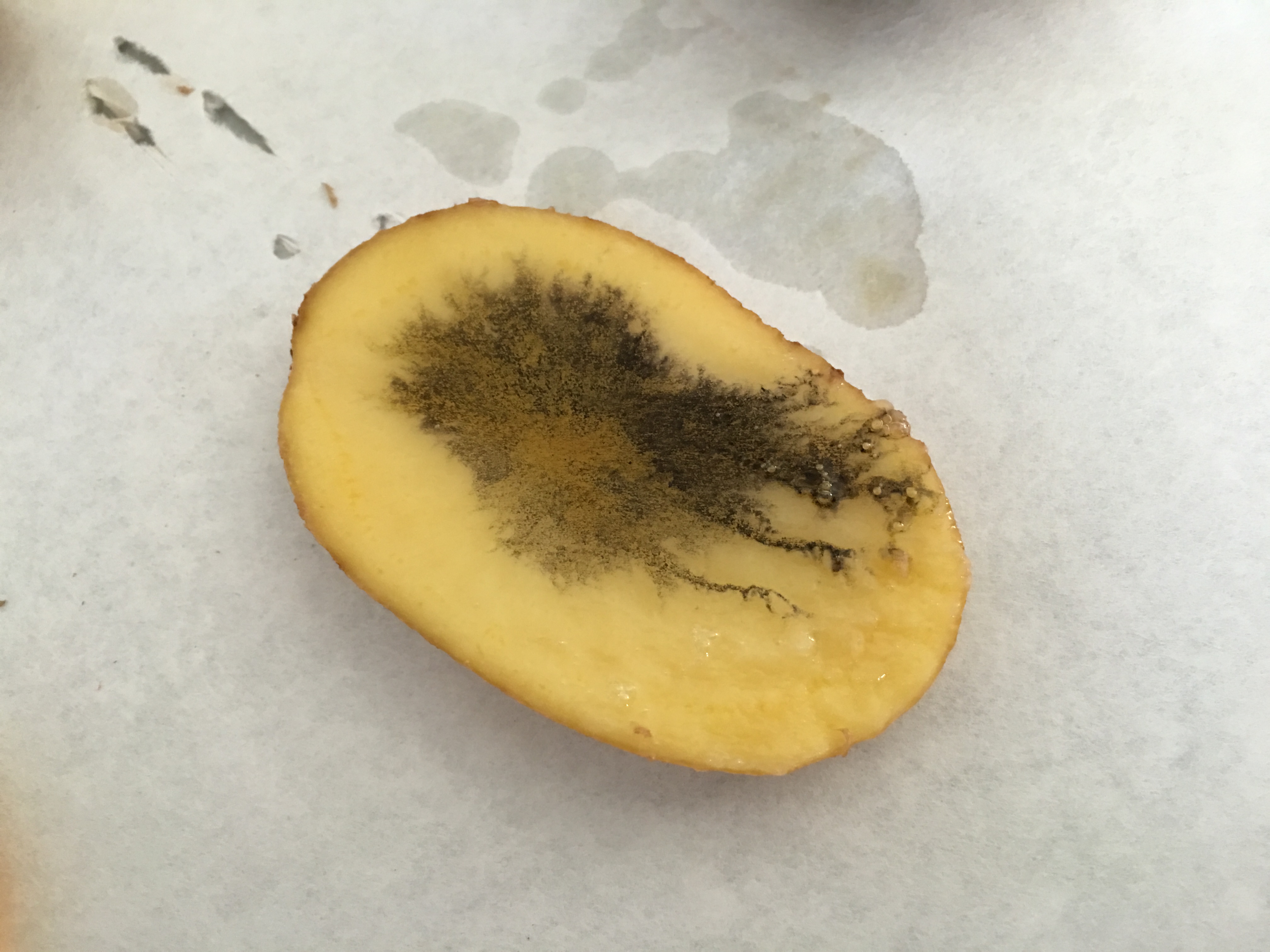 patata-azul de metileno