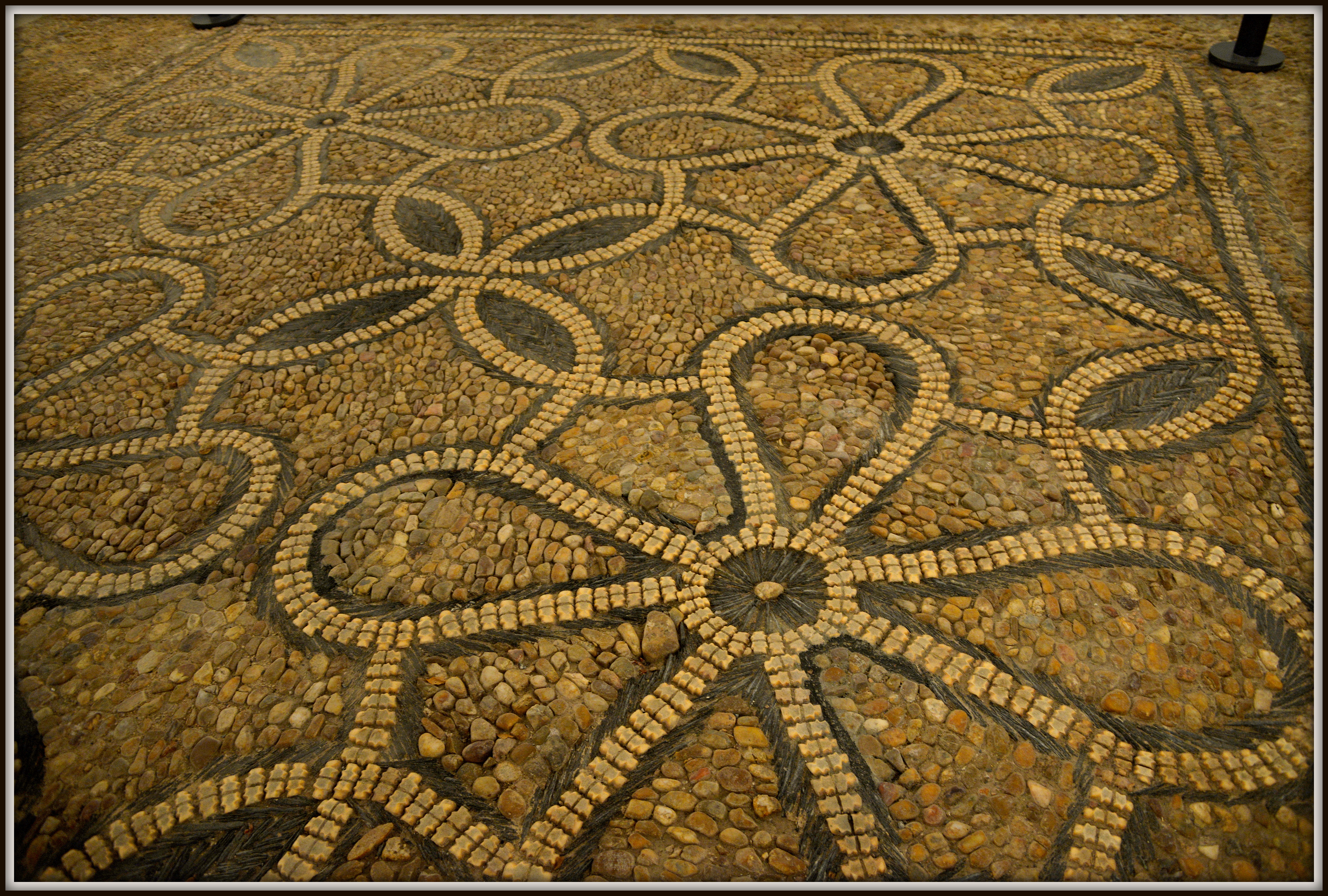 Salamanca_Suelo_Convento Dominicos