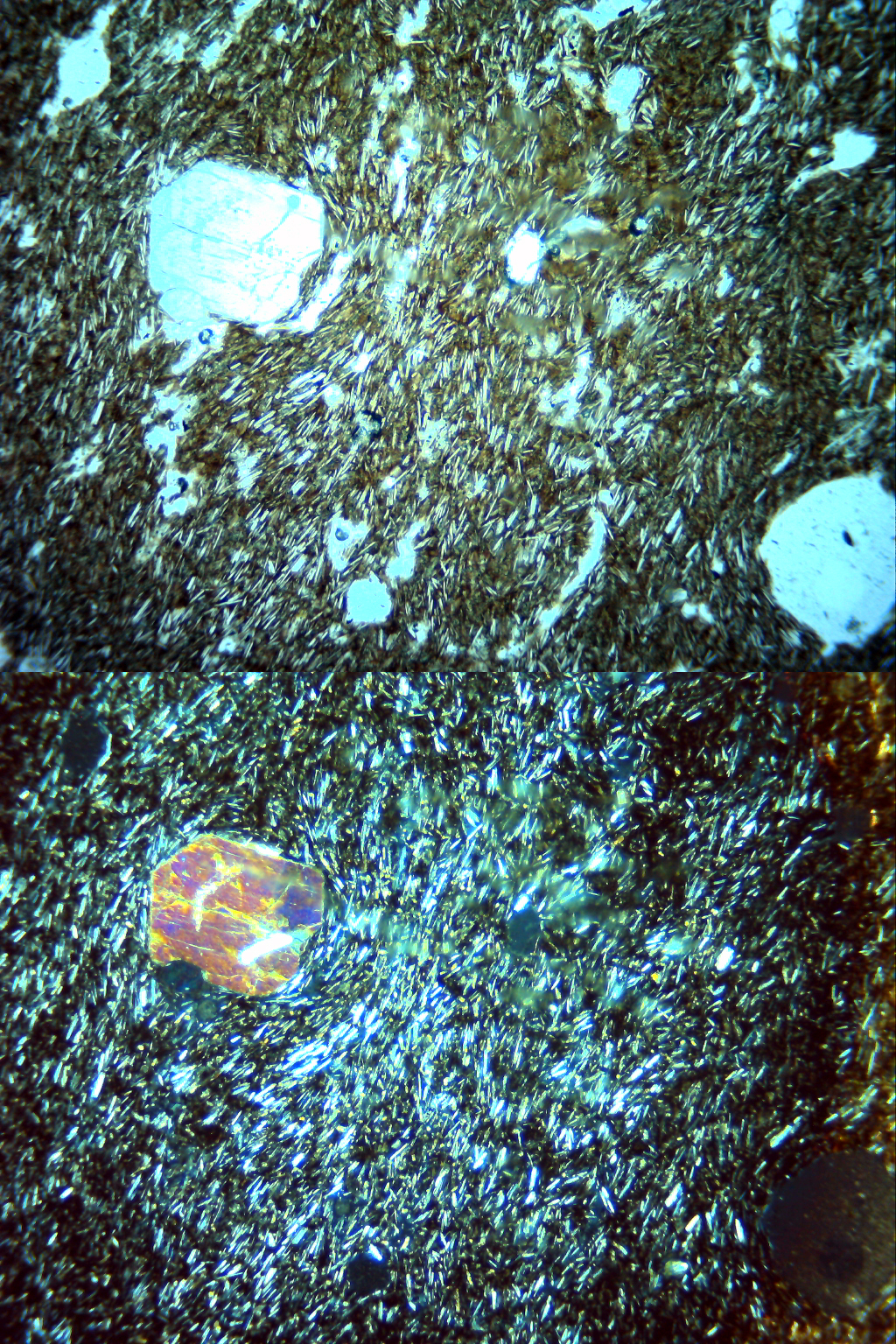 Basalto (40 aumentos)