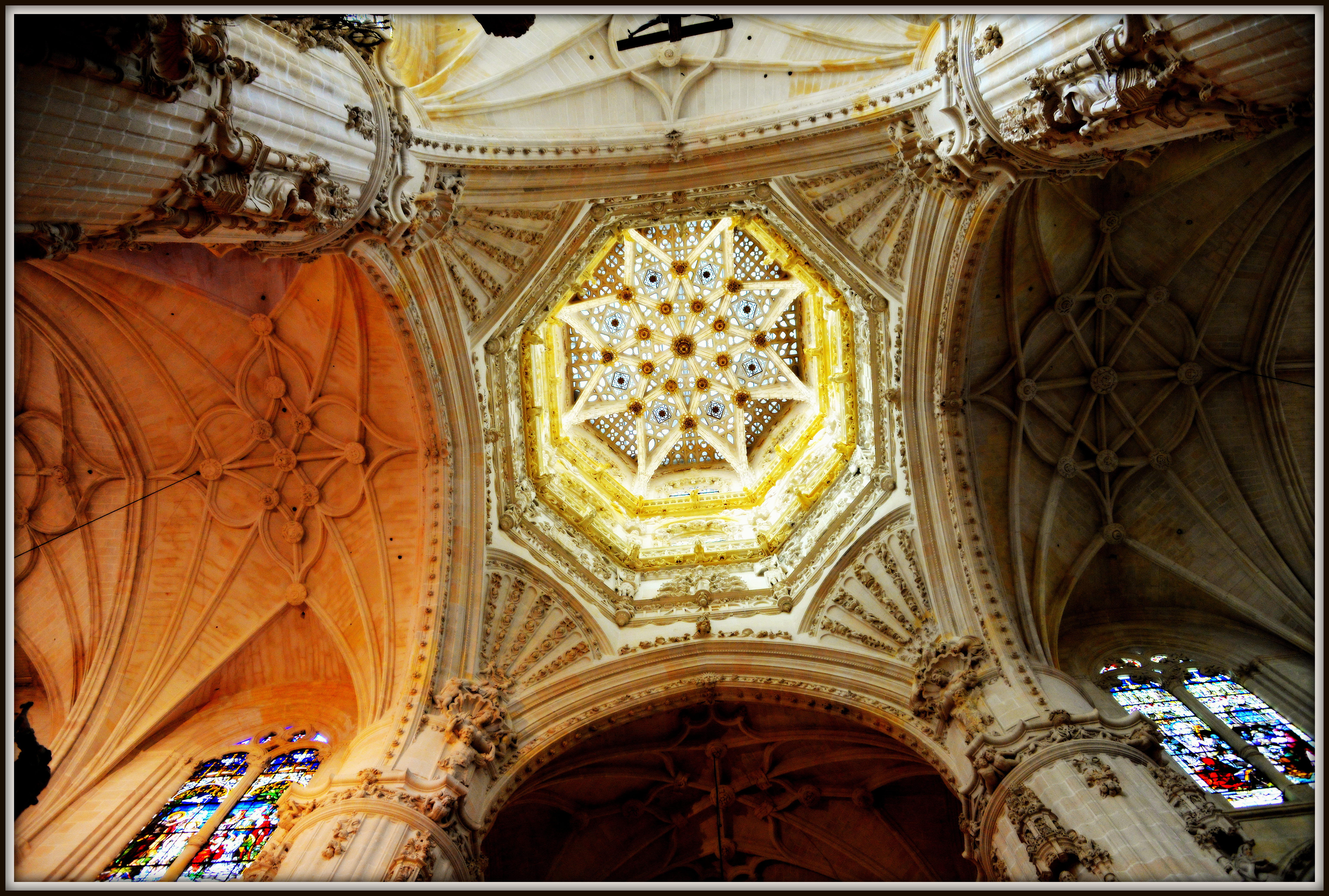 DSC_3508-001
