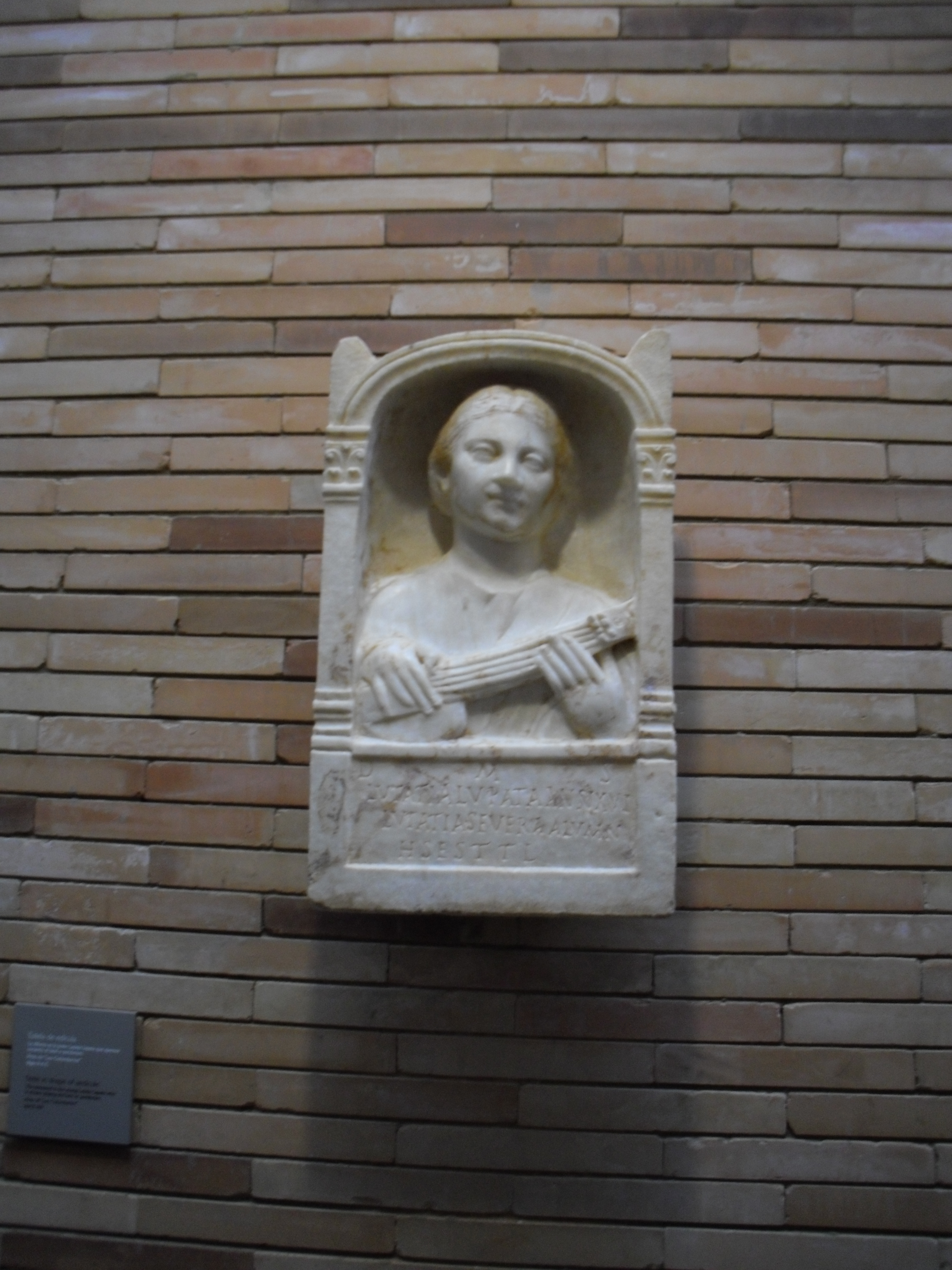 1. MNAR RELIEVE CITARA ARSAM_0843