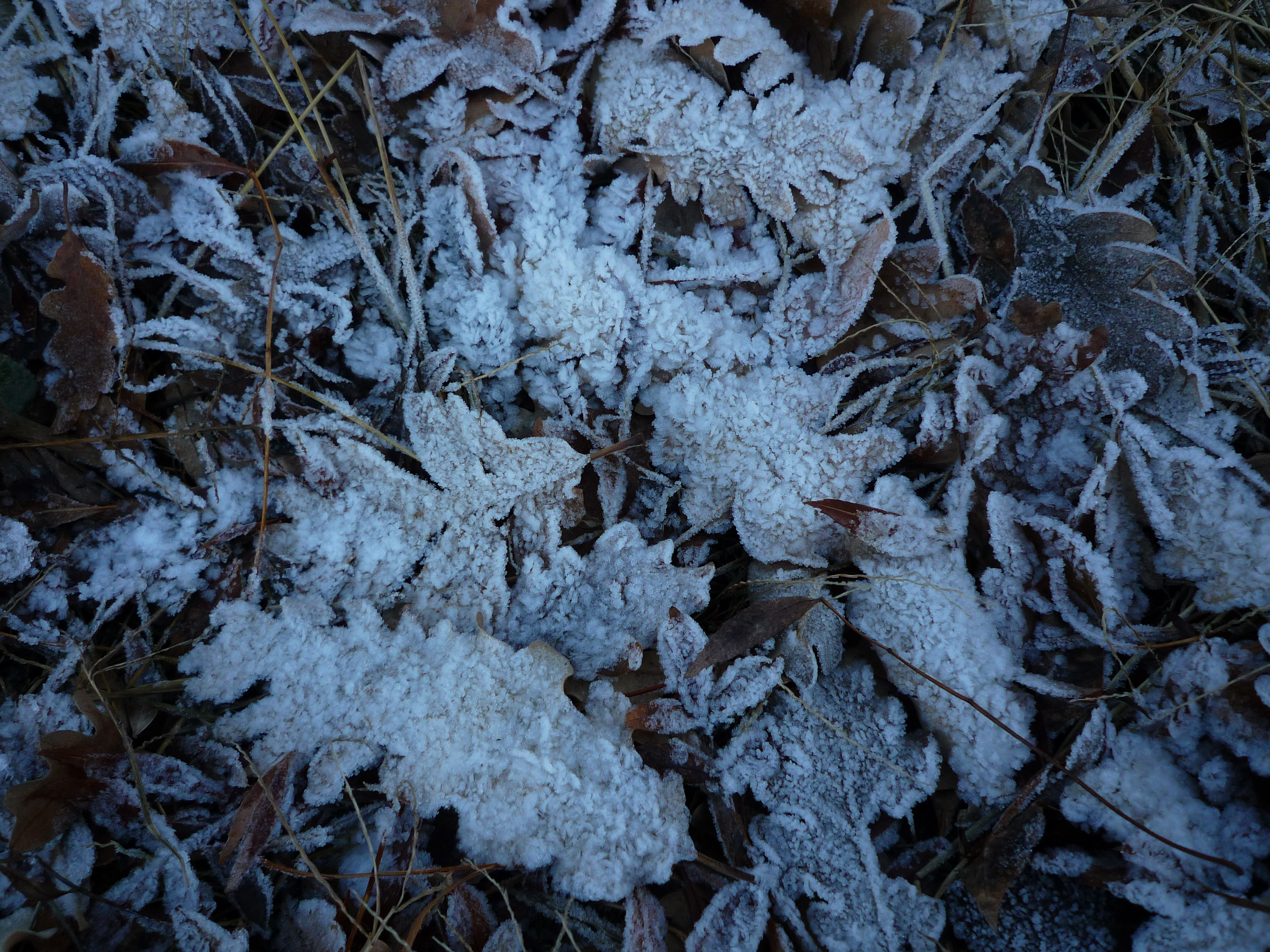 Formación de hielo
