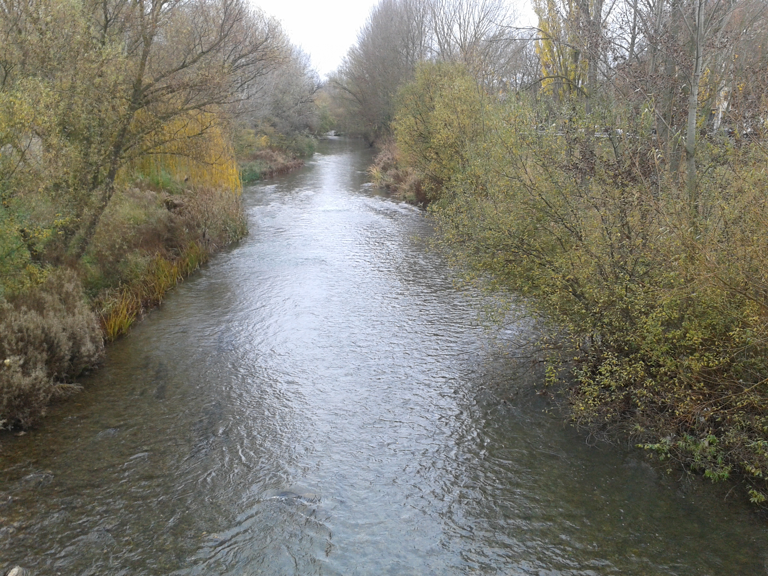 Río Arlanzón desde el puente Malatos
