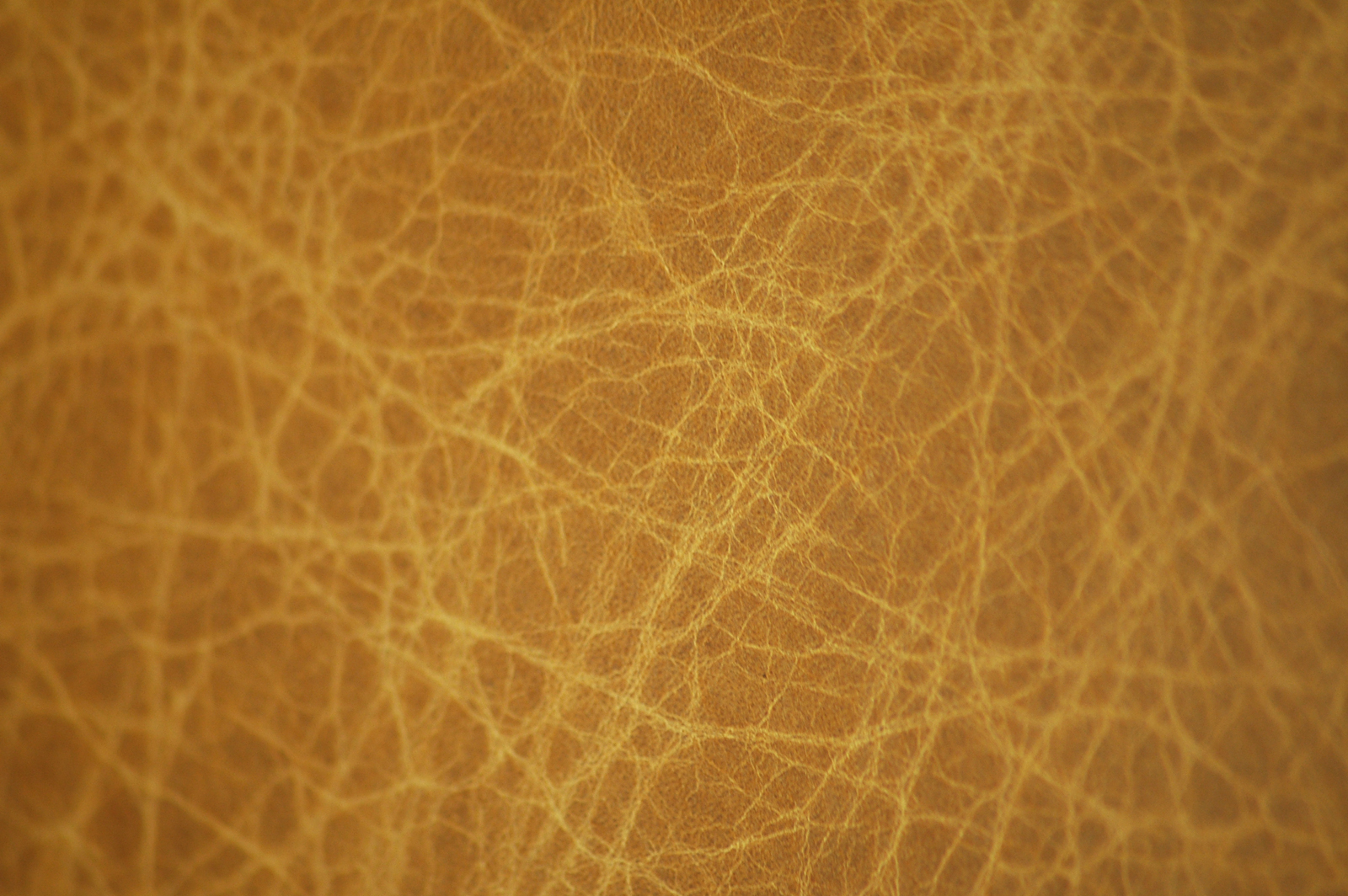 Textura (cuero)