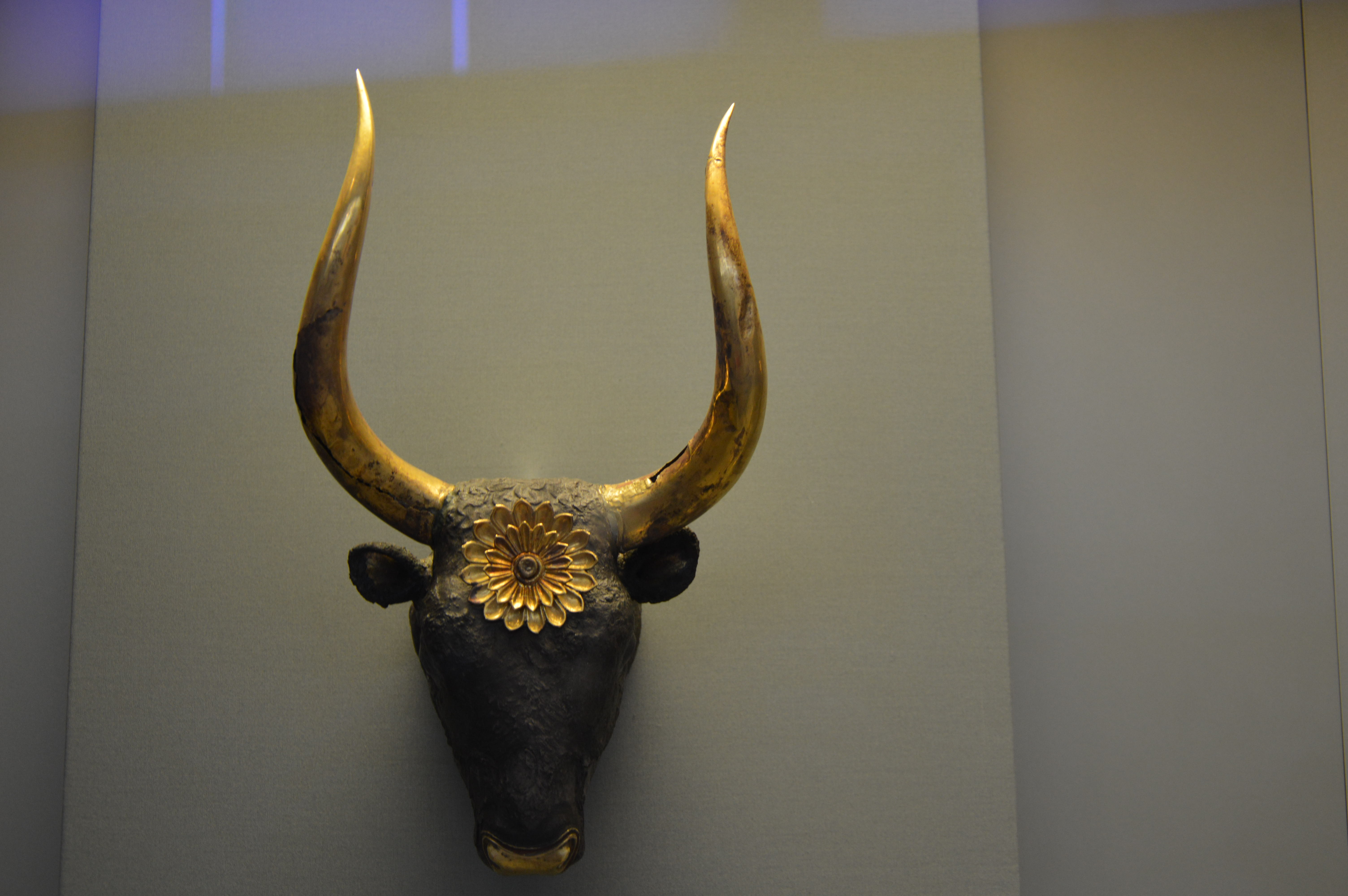 83. TORO CRETENSE DSC_0339