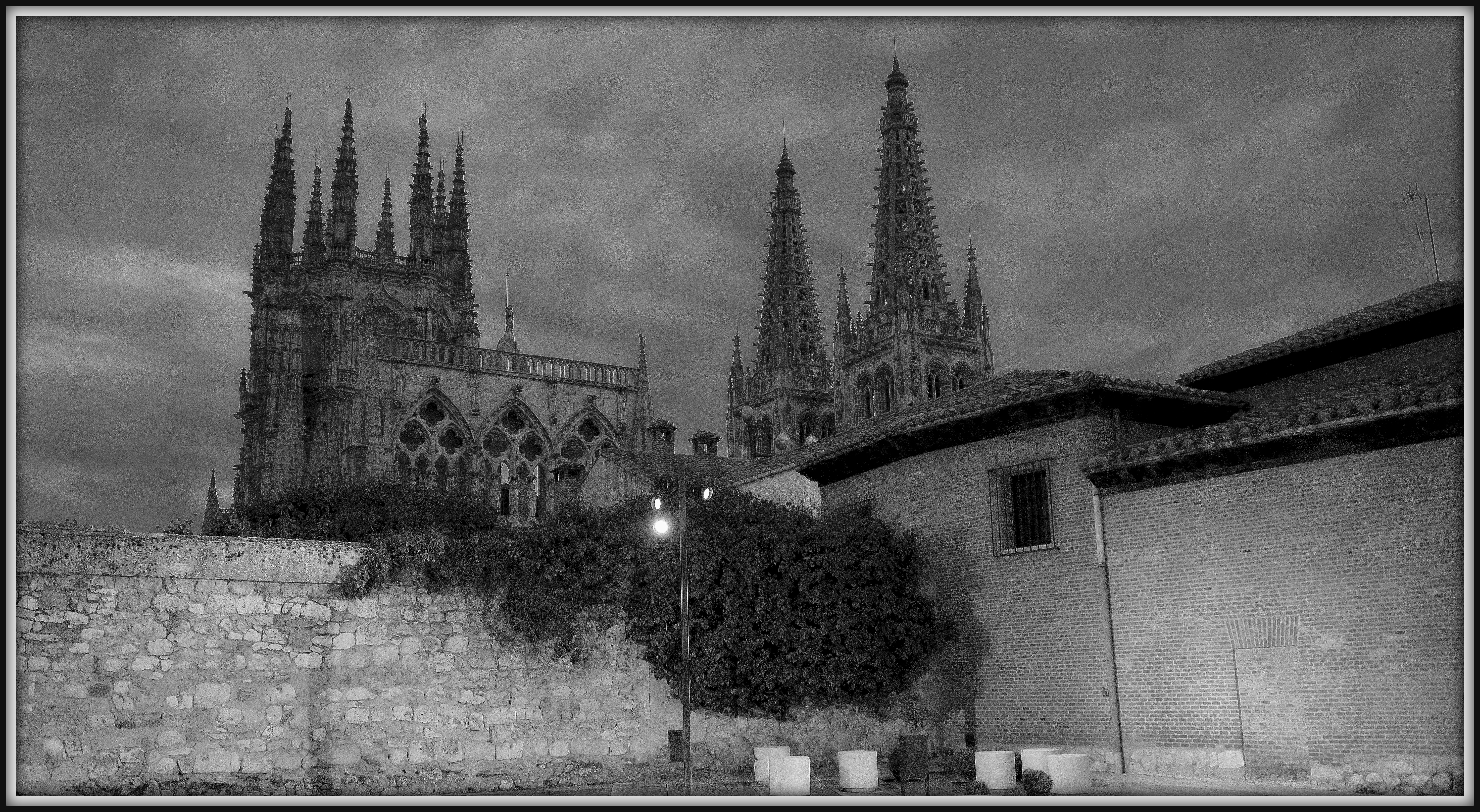 DSC_3602-002