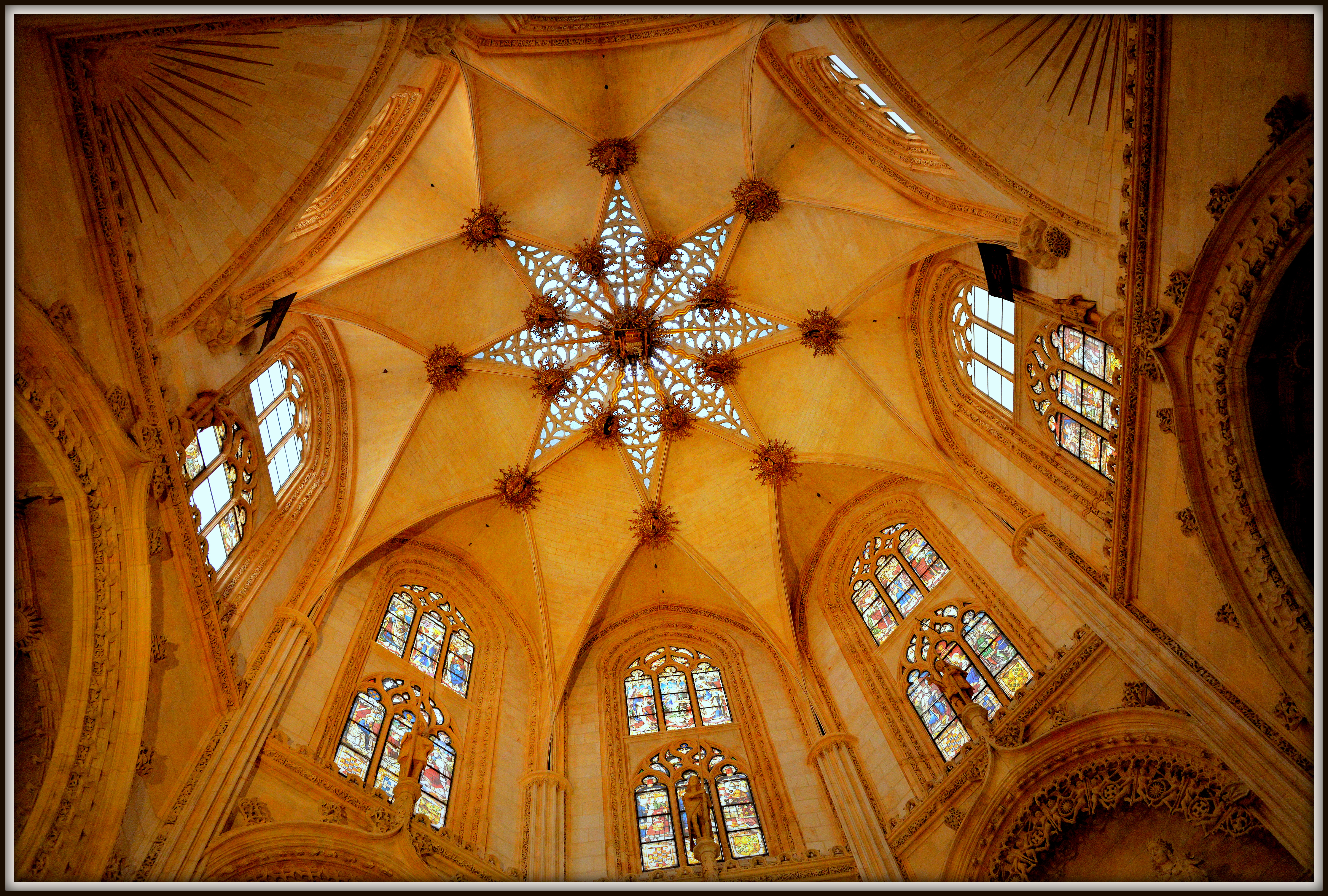 DSC_3498-001