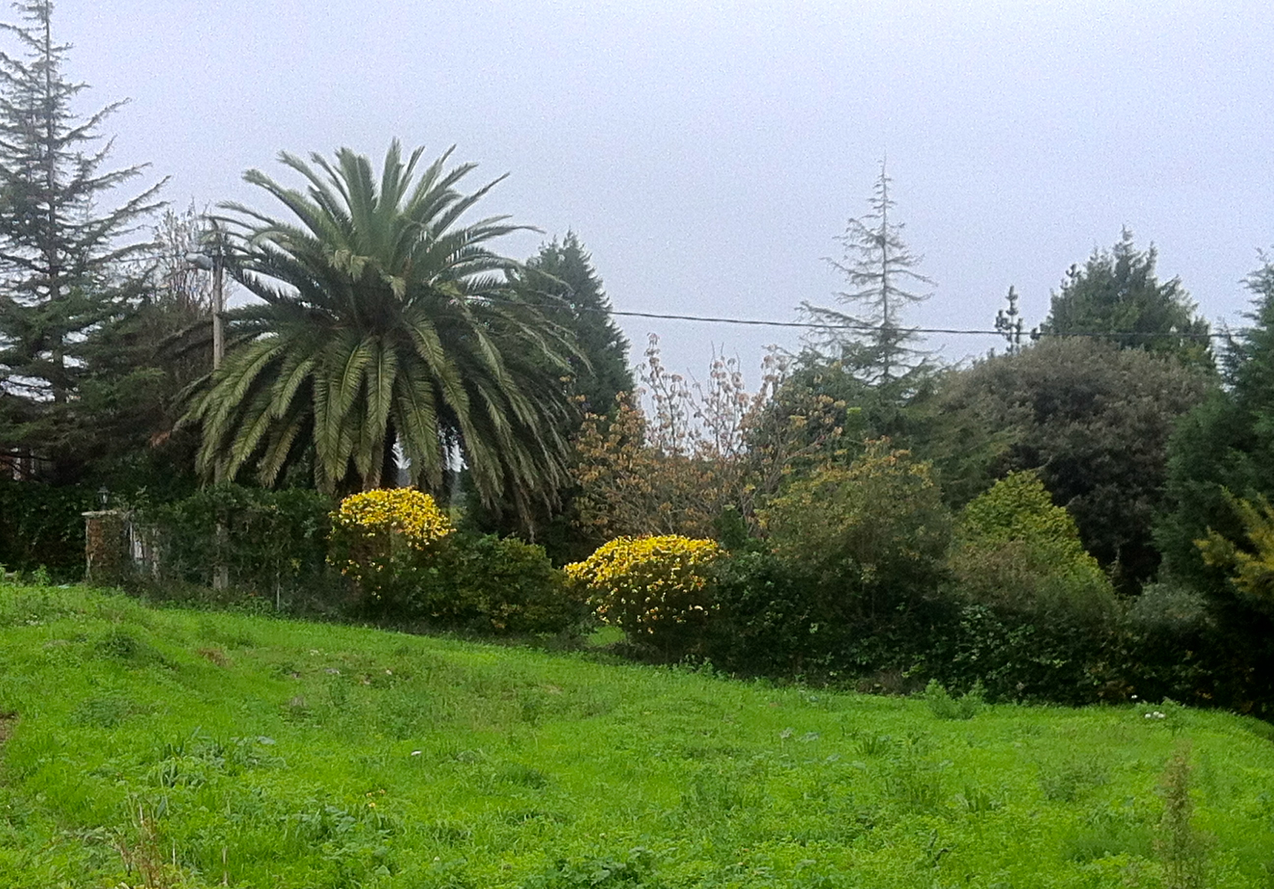 Jardín