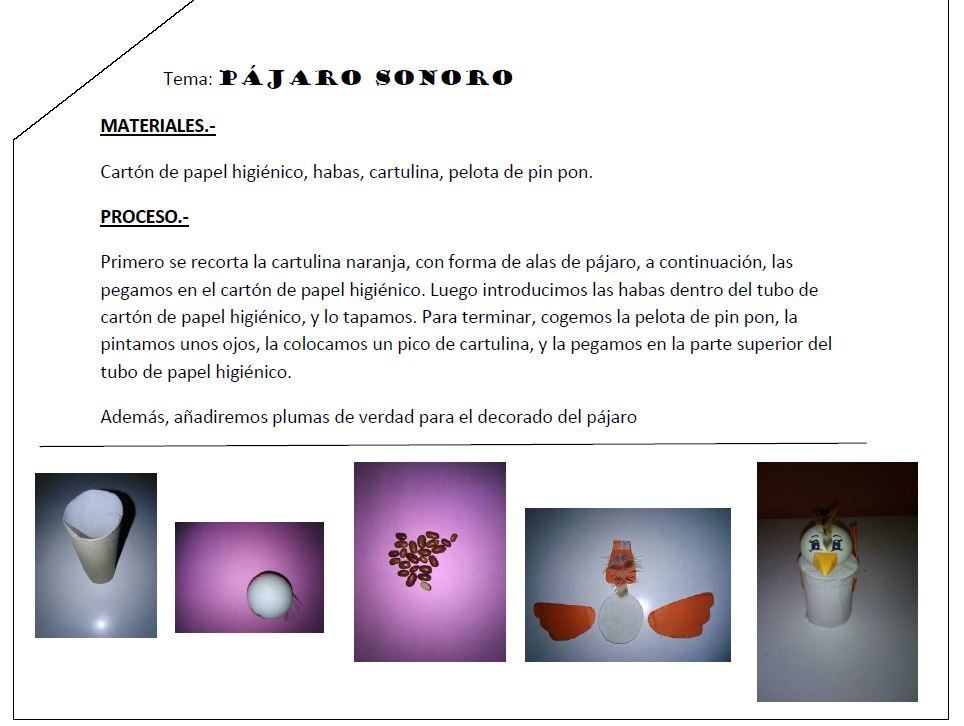 PÁJARO SONORO