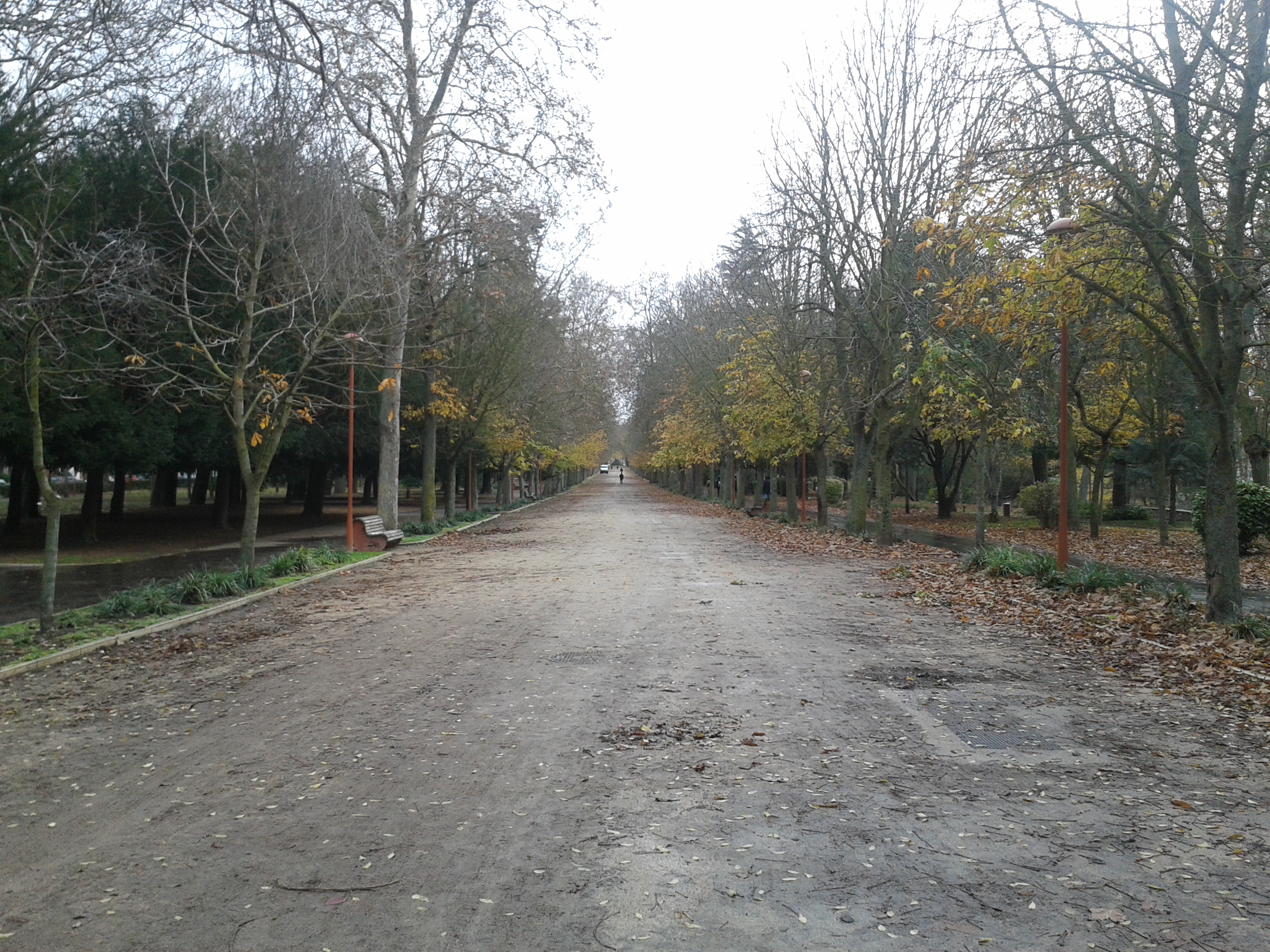 Paseo de la Isla. Pista central.