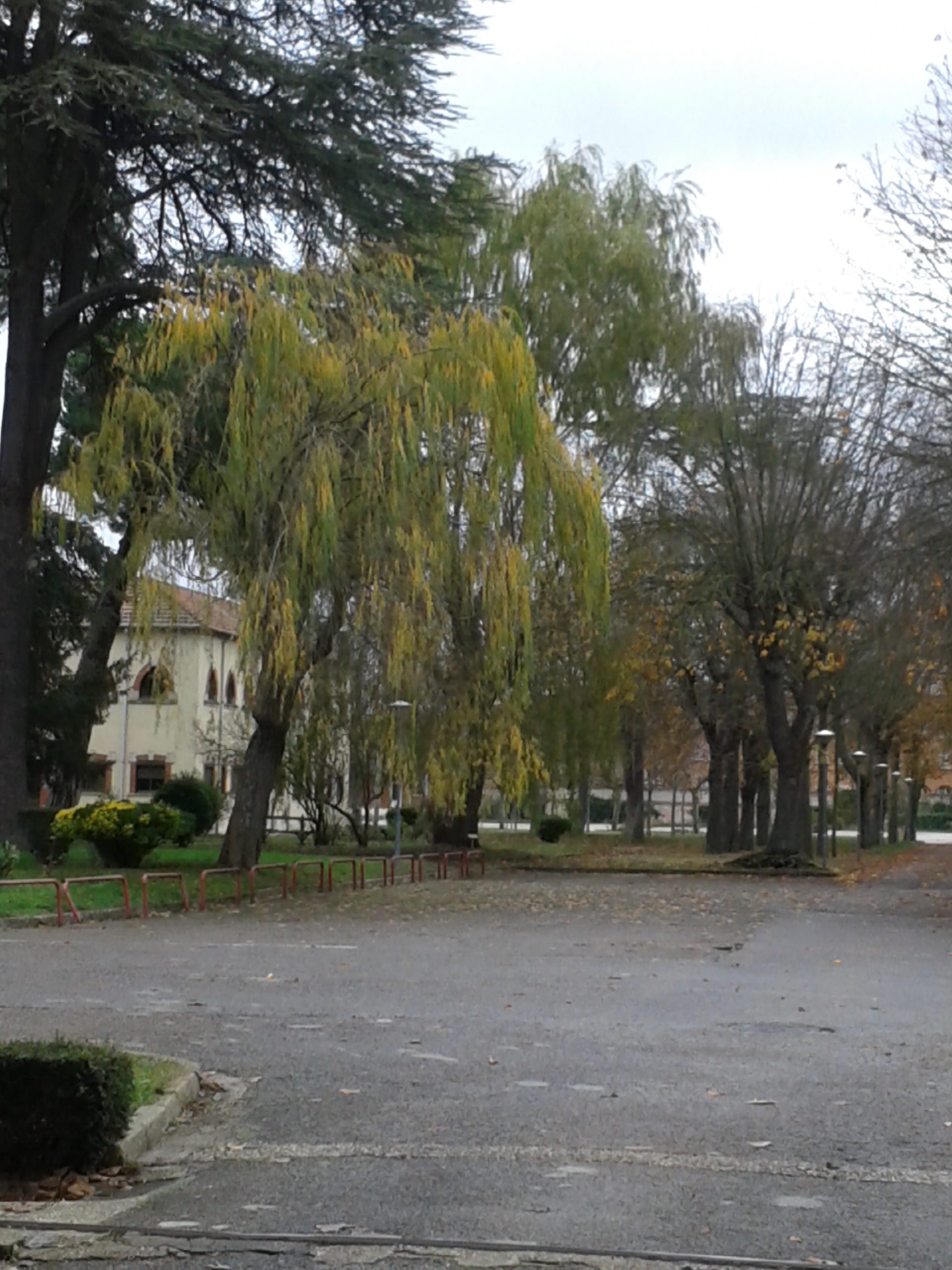 Patio del hospital militar