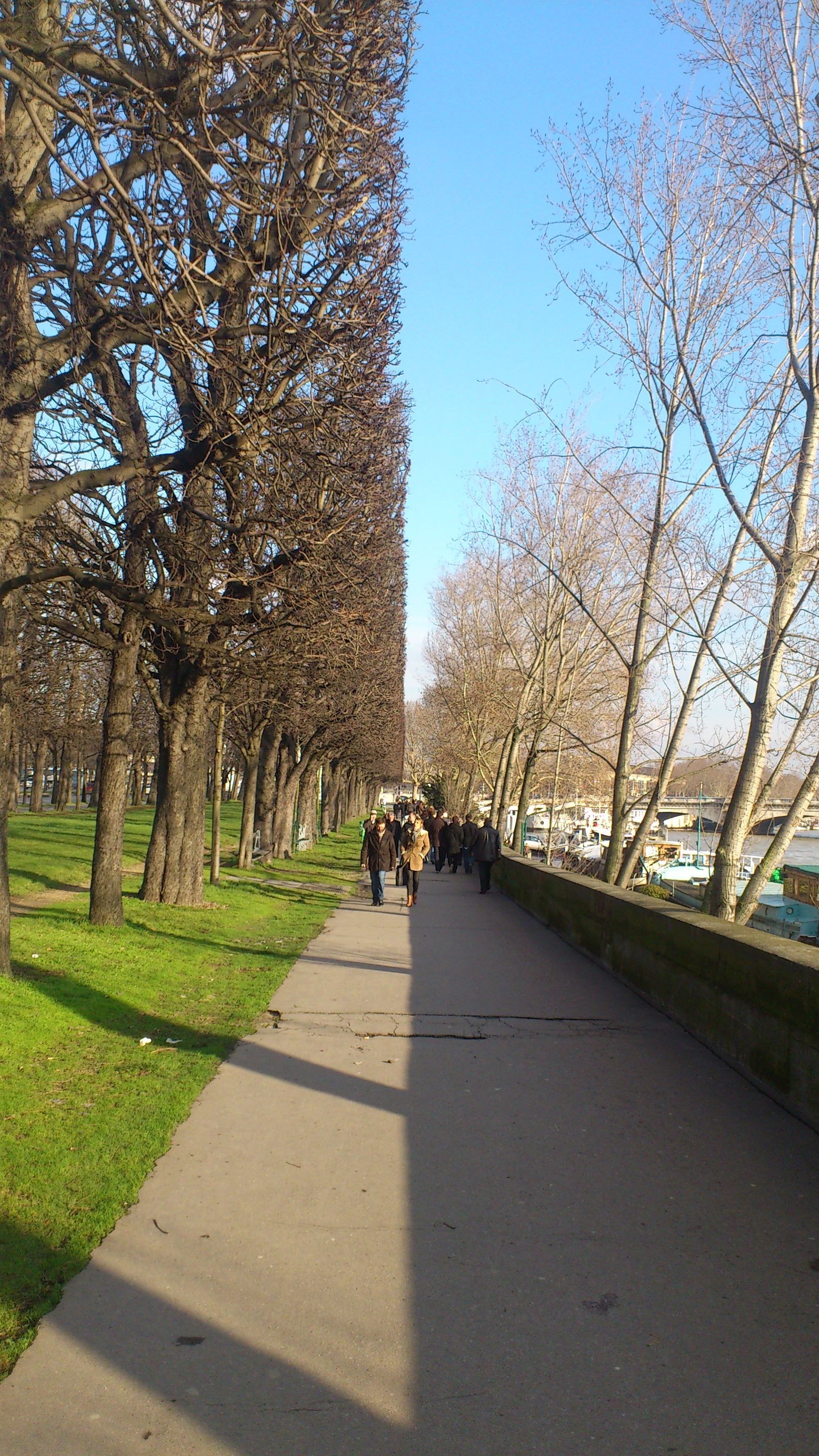 Perspectiva (paseo de París)