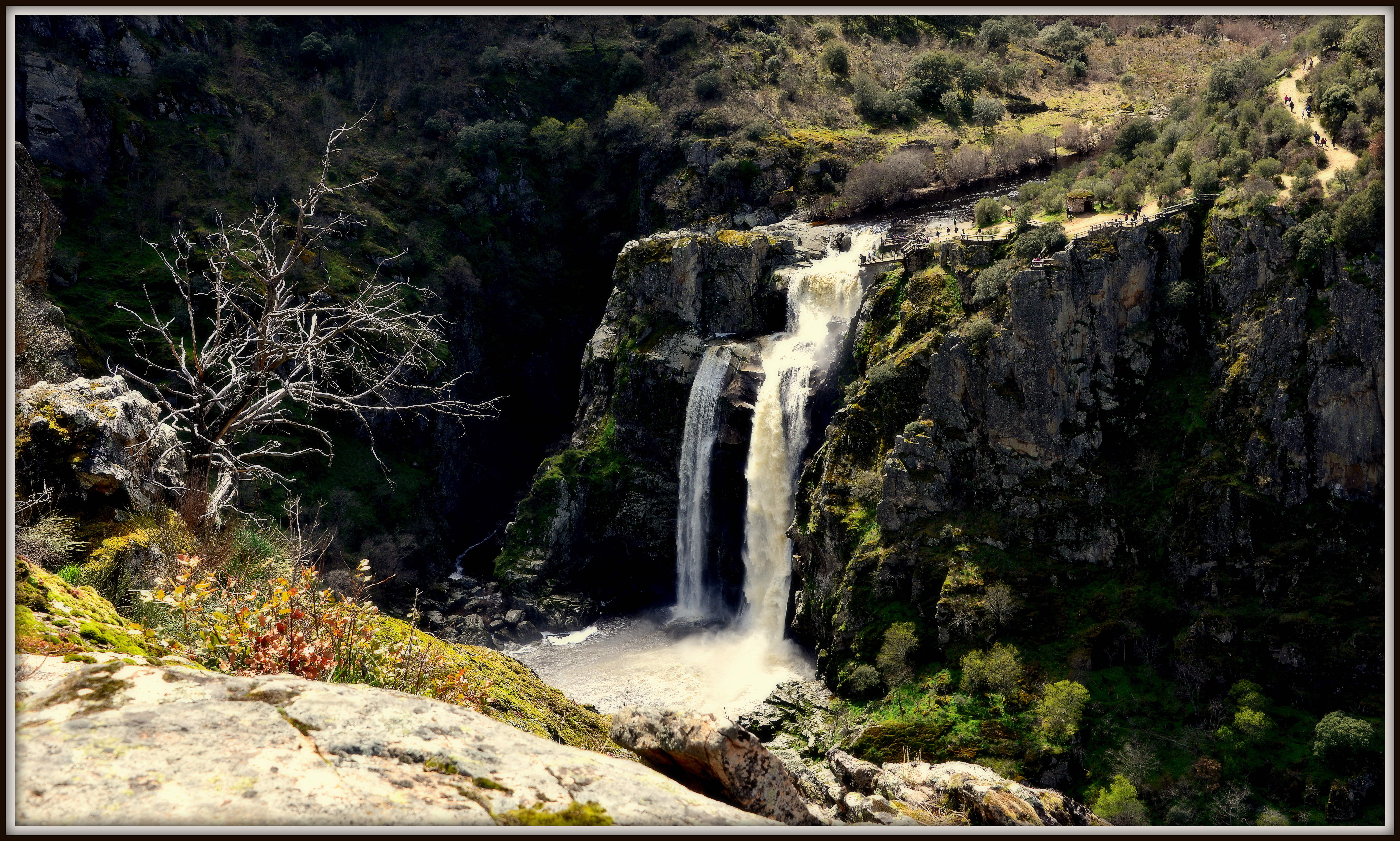 DSC_3050-001