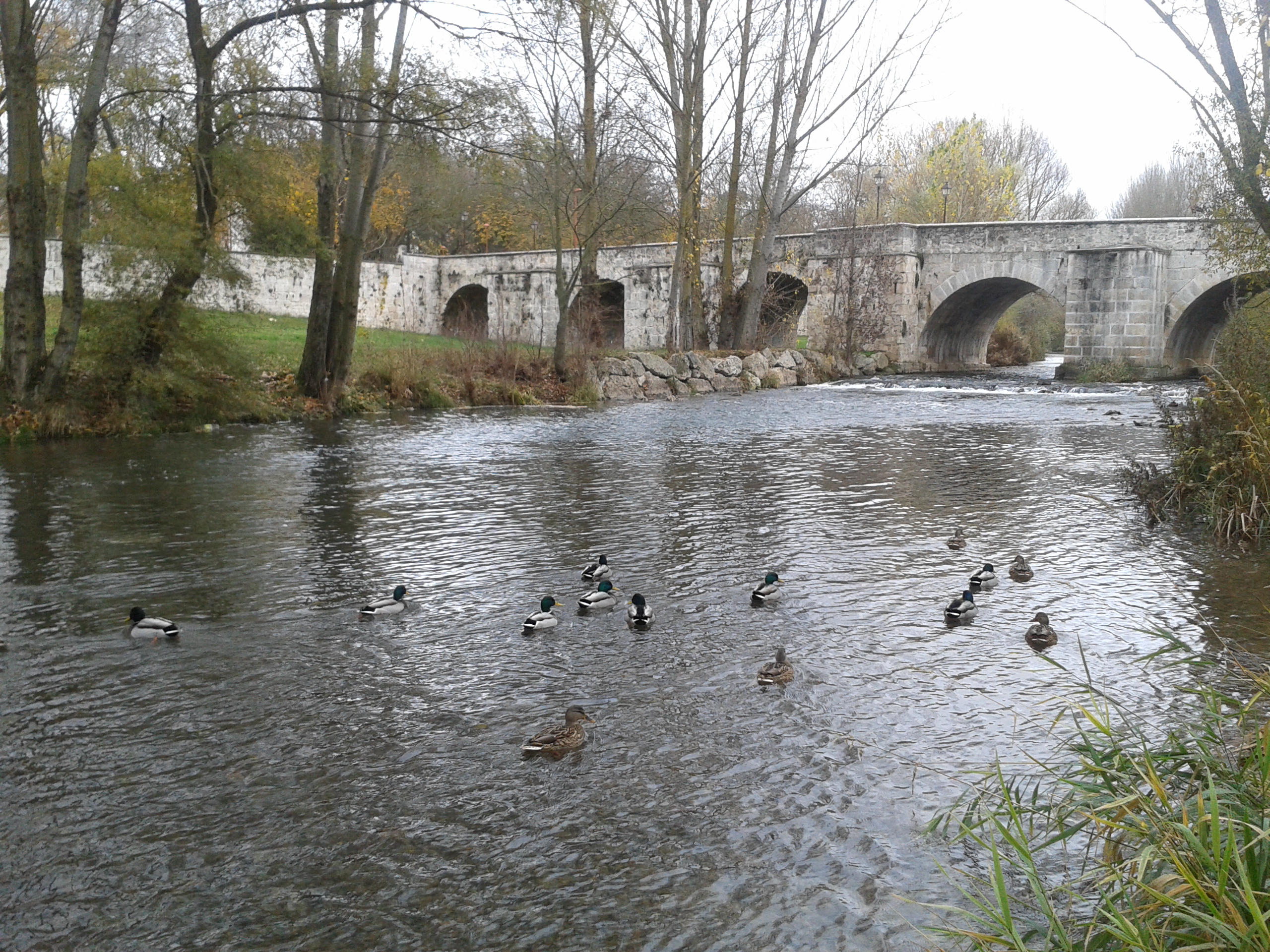Puente Malatos