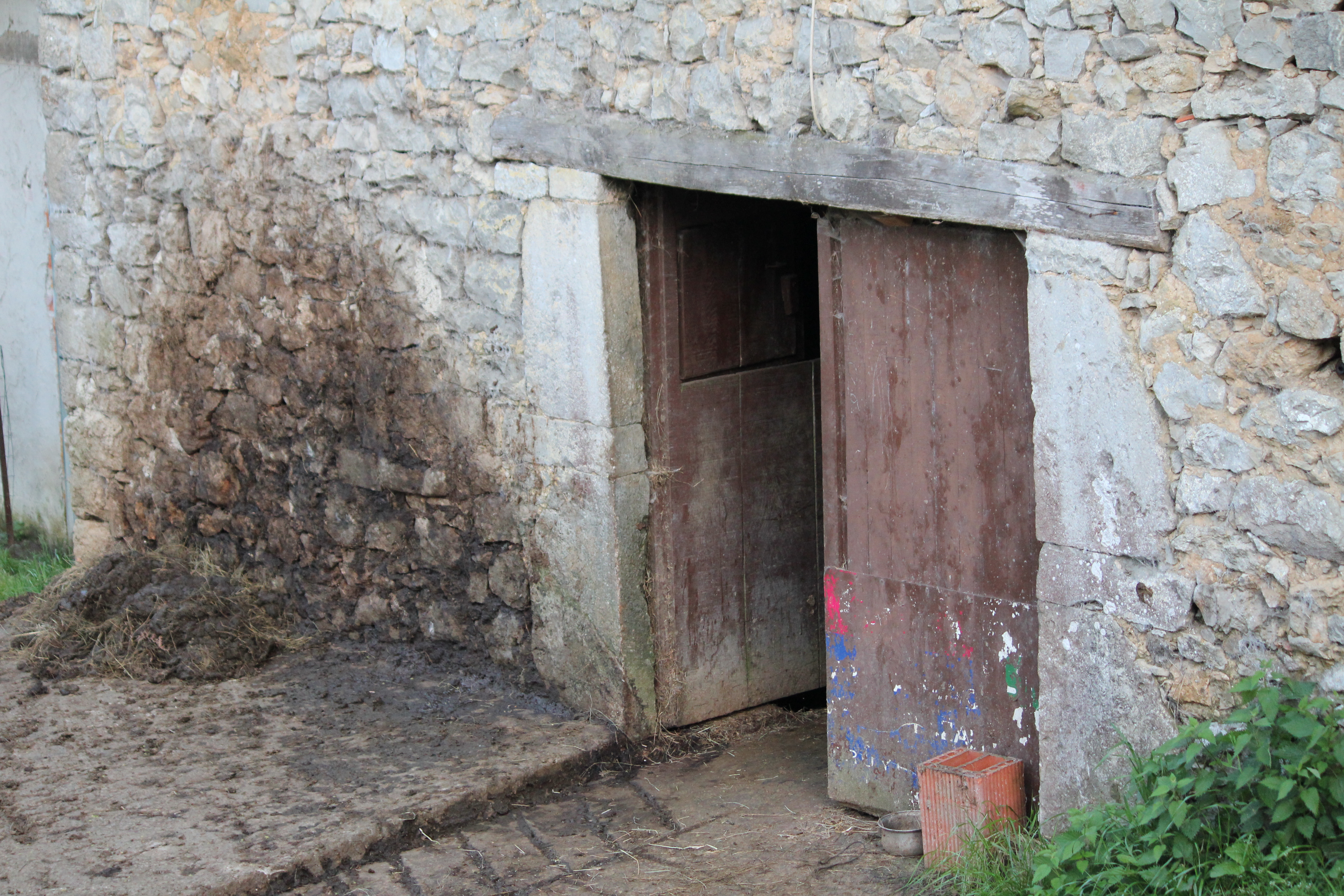 A las puertas del establo