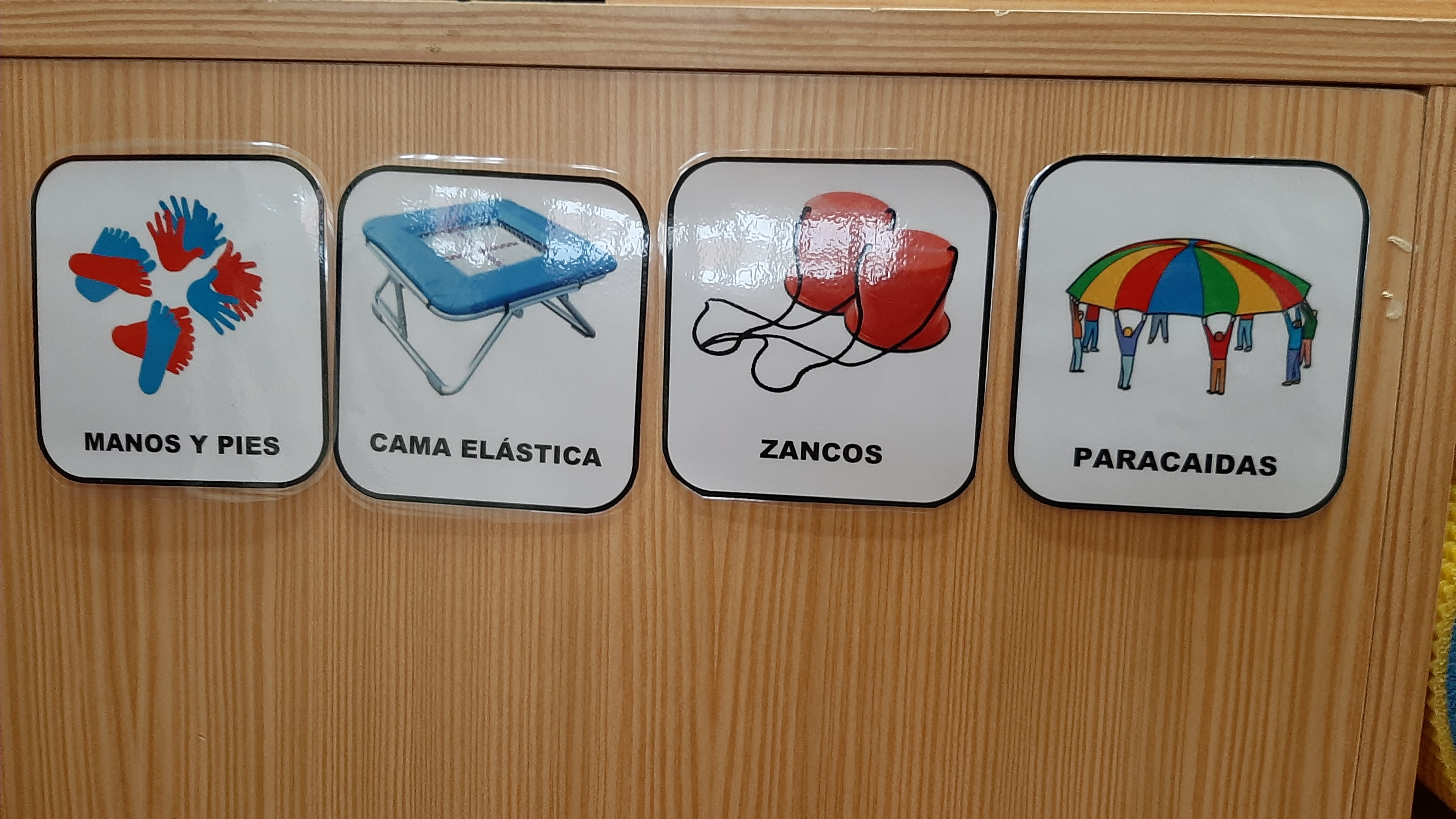 Gimnasio actual (3)