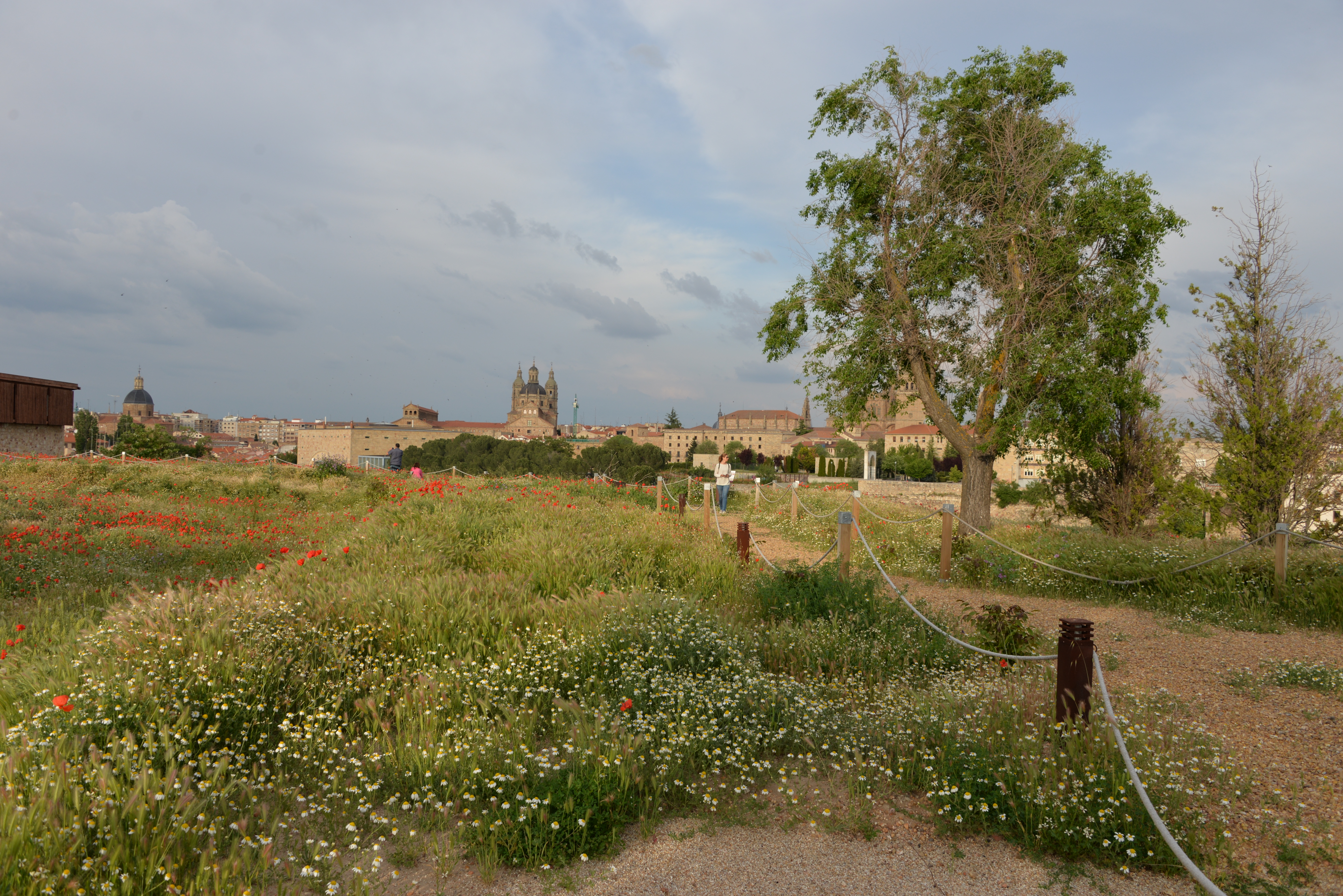 DSC_5770