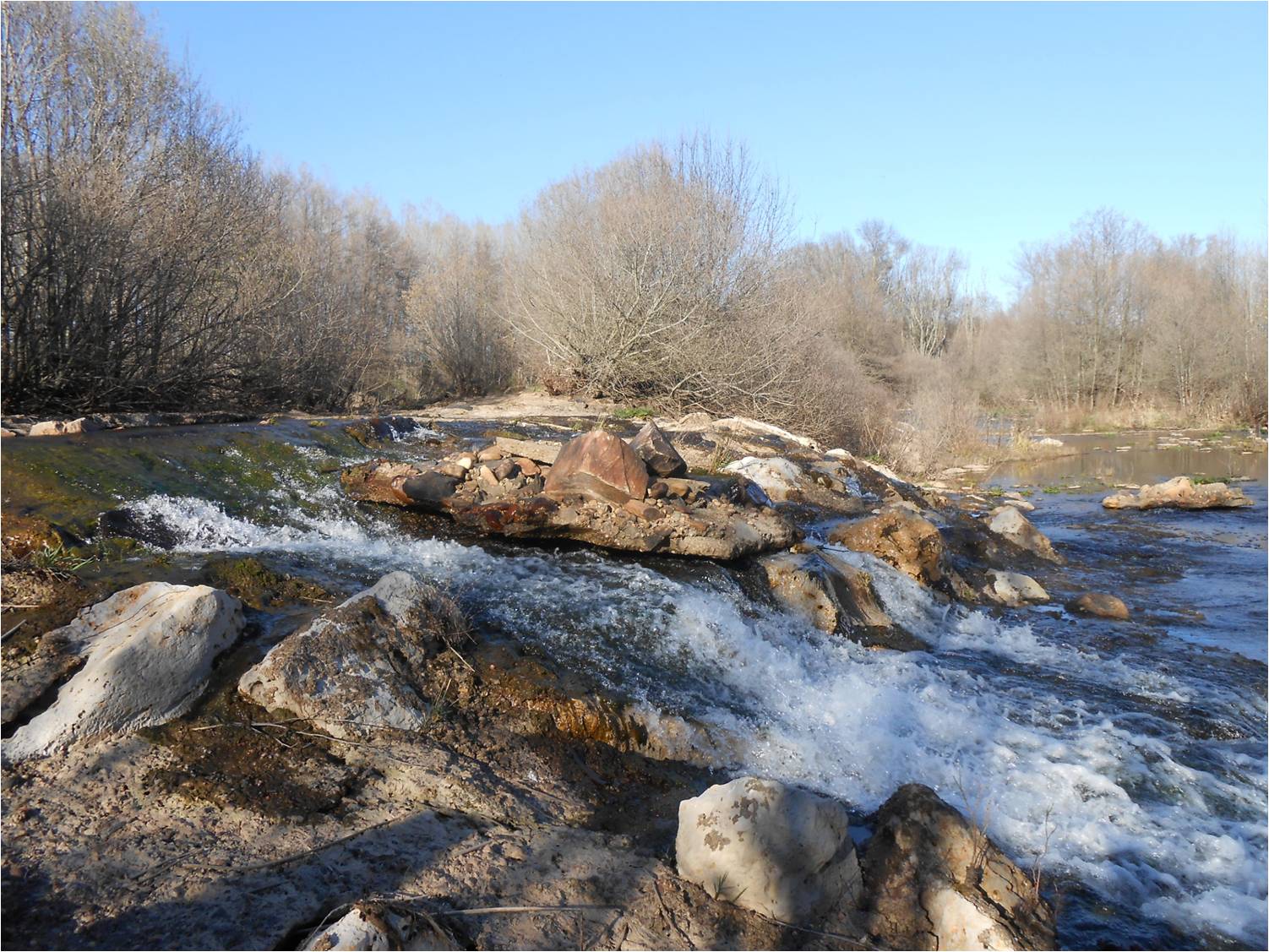 presamiguelonsantitera3