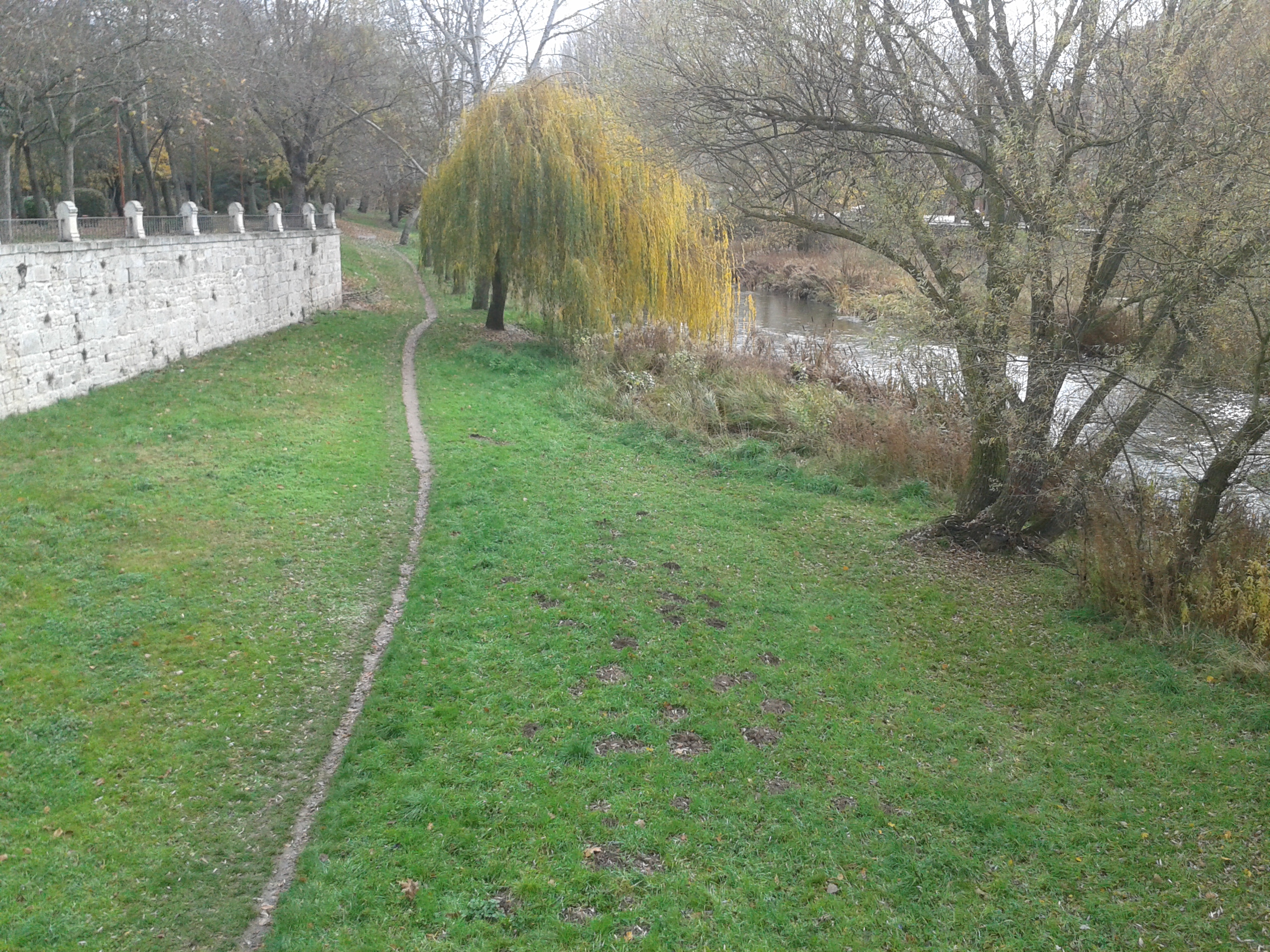 Senda en márgenes del río Arlanzón.