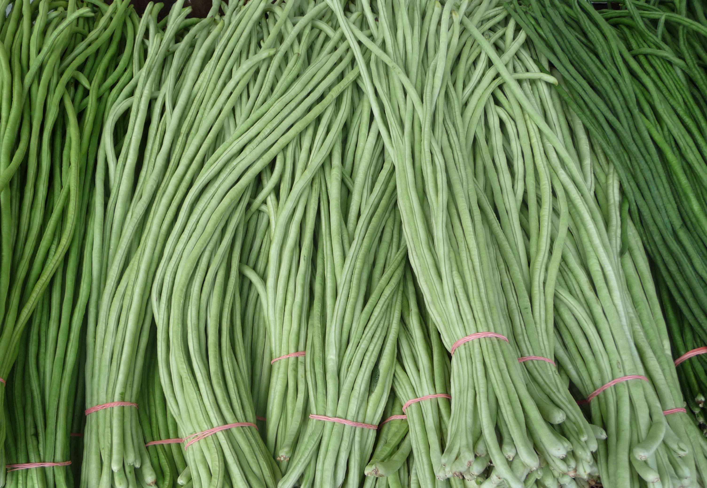 Textura (judias verdes)