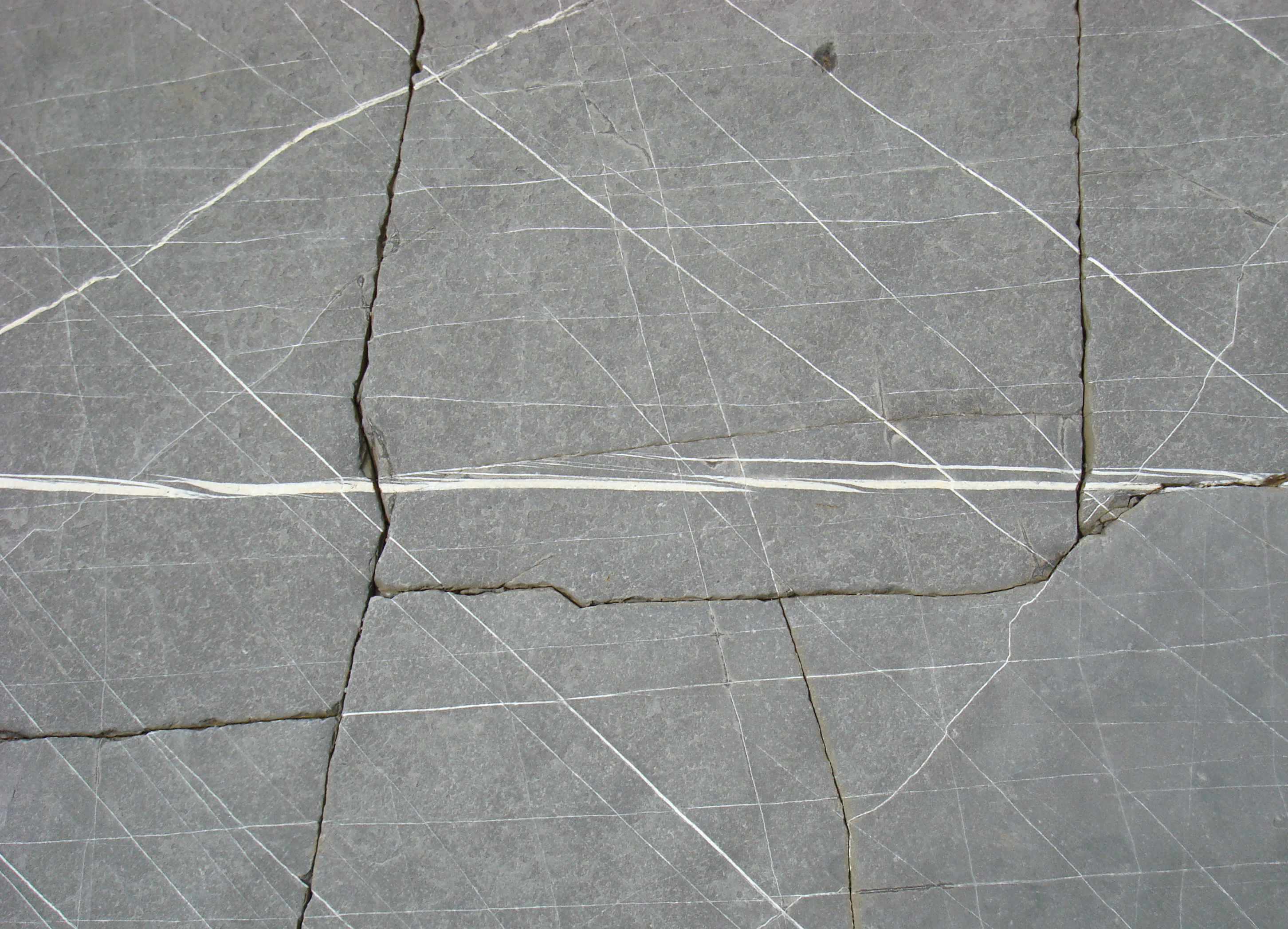 Textura (roca veteada)