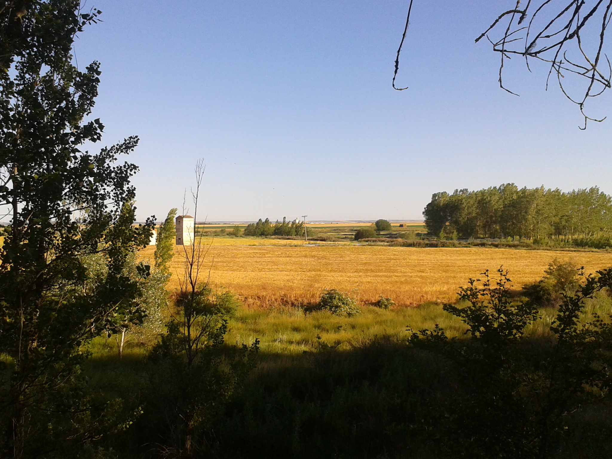 Atardecer en campos de cultivo