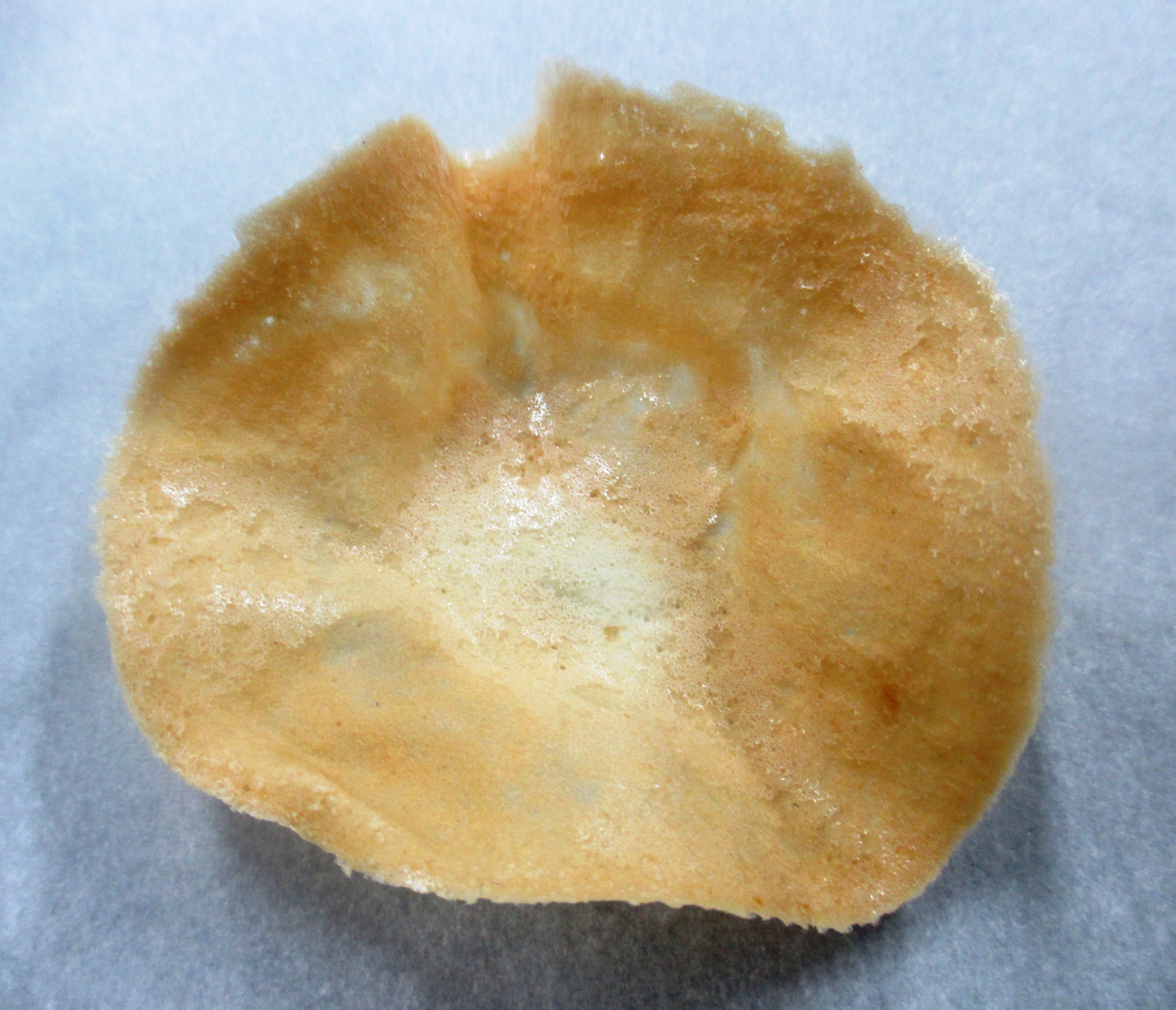 Base
