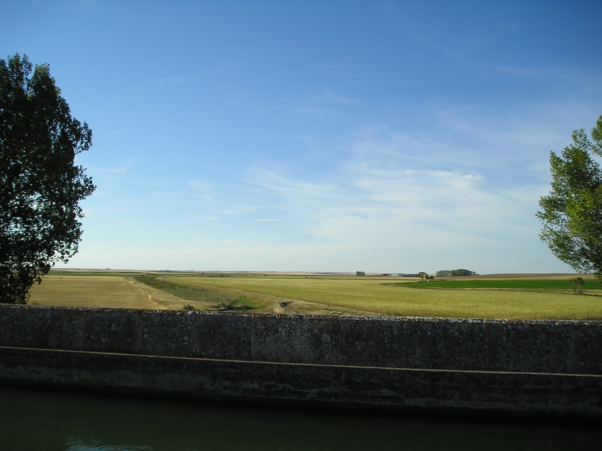 Campos de cultivo