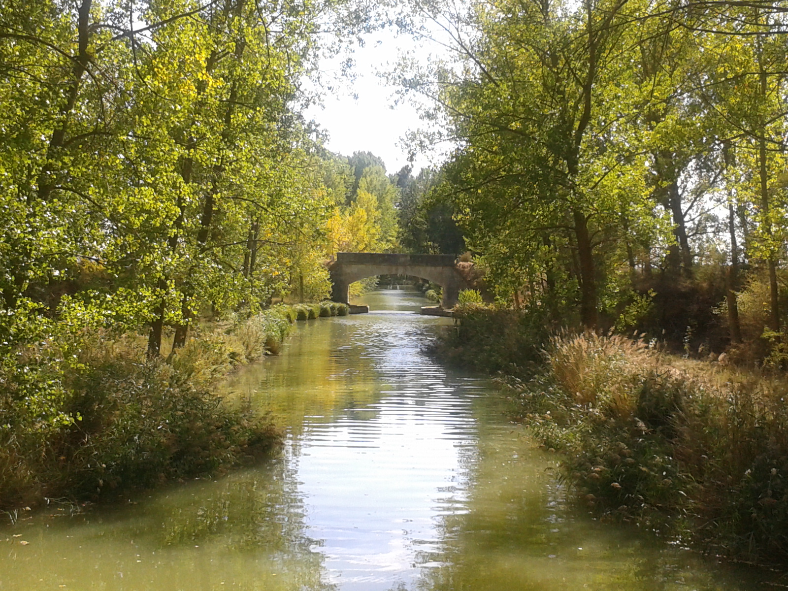 Canal de Castilla