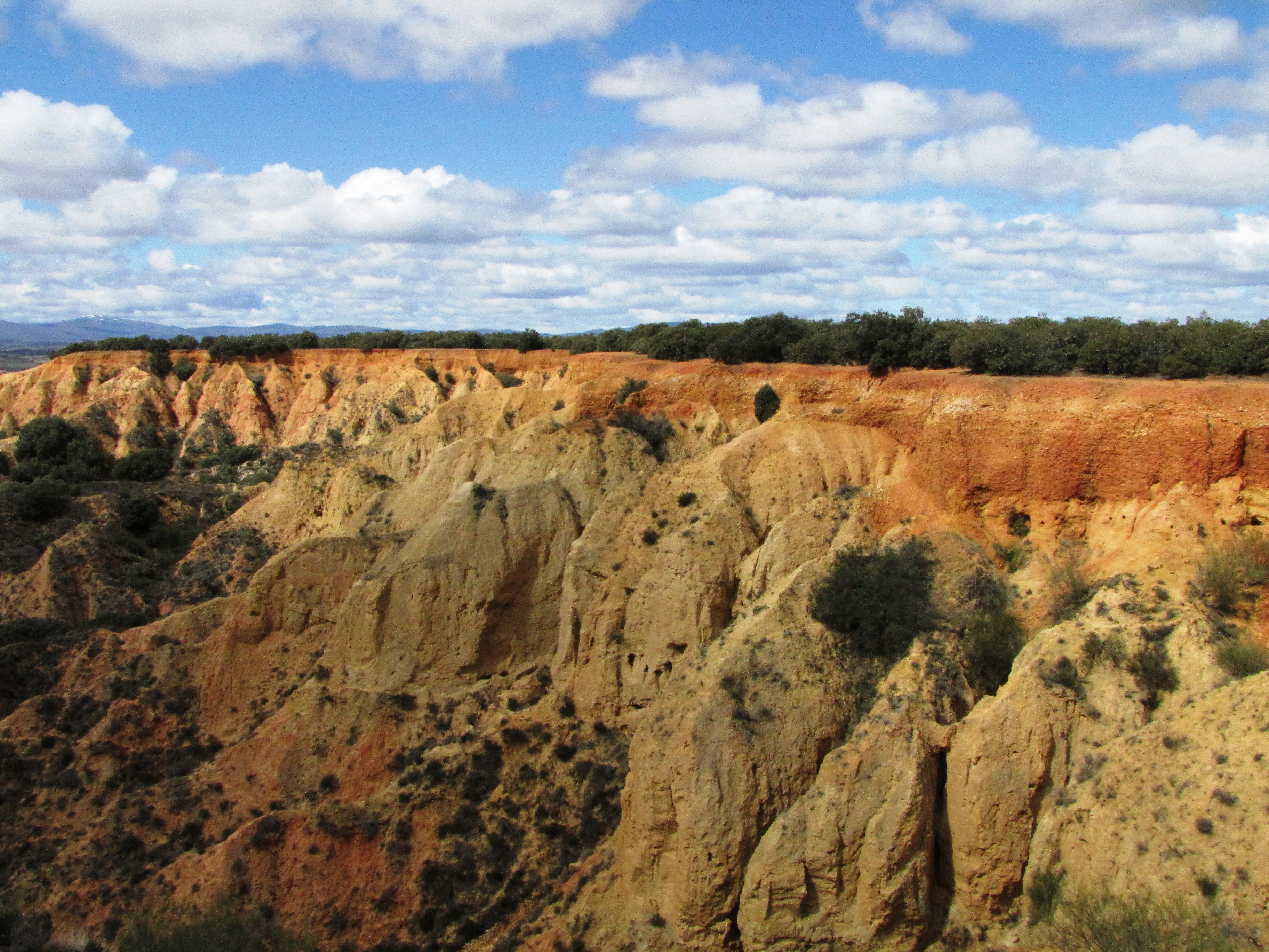 Cárcavas en Barrientos (León)