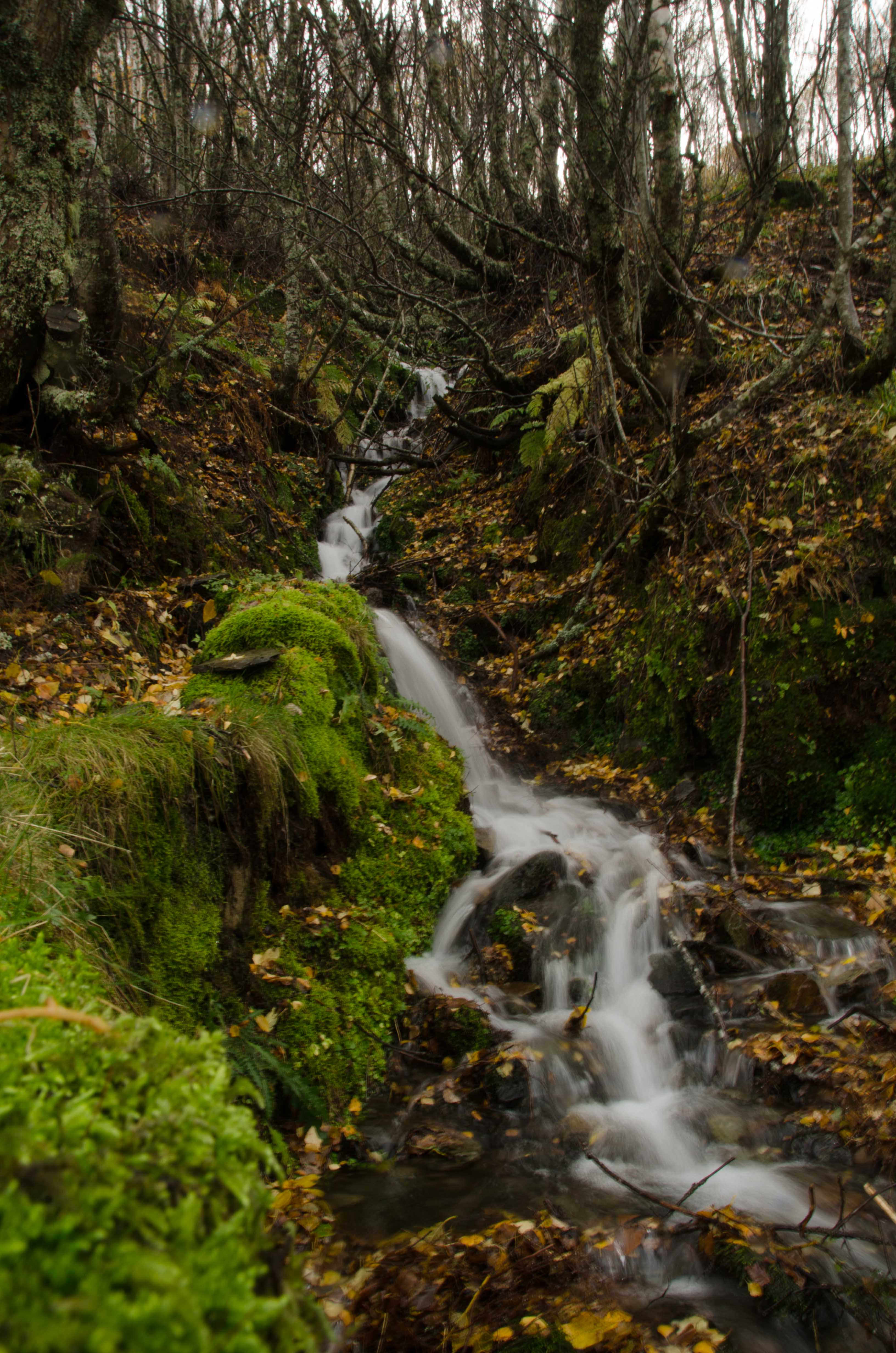 Cascada verde