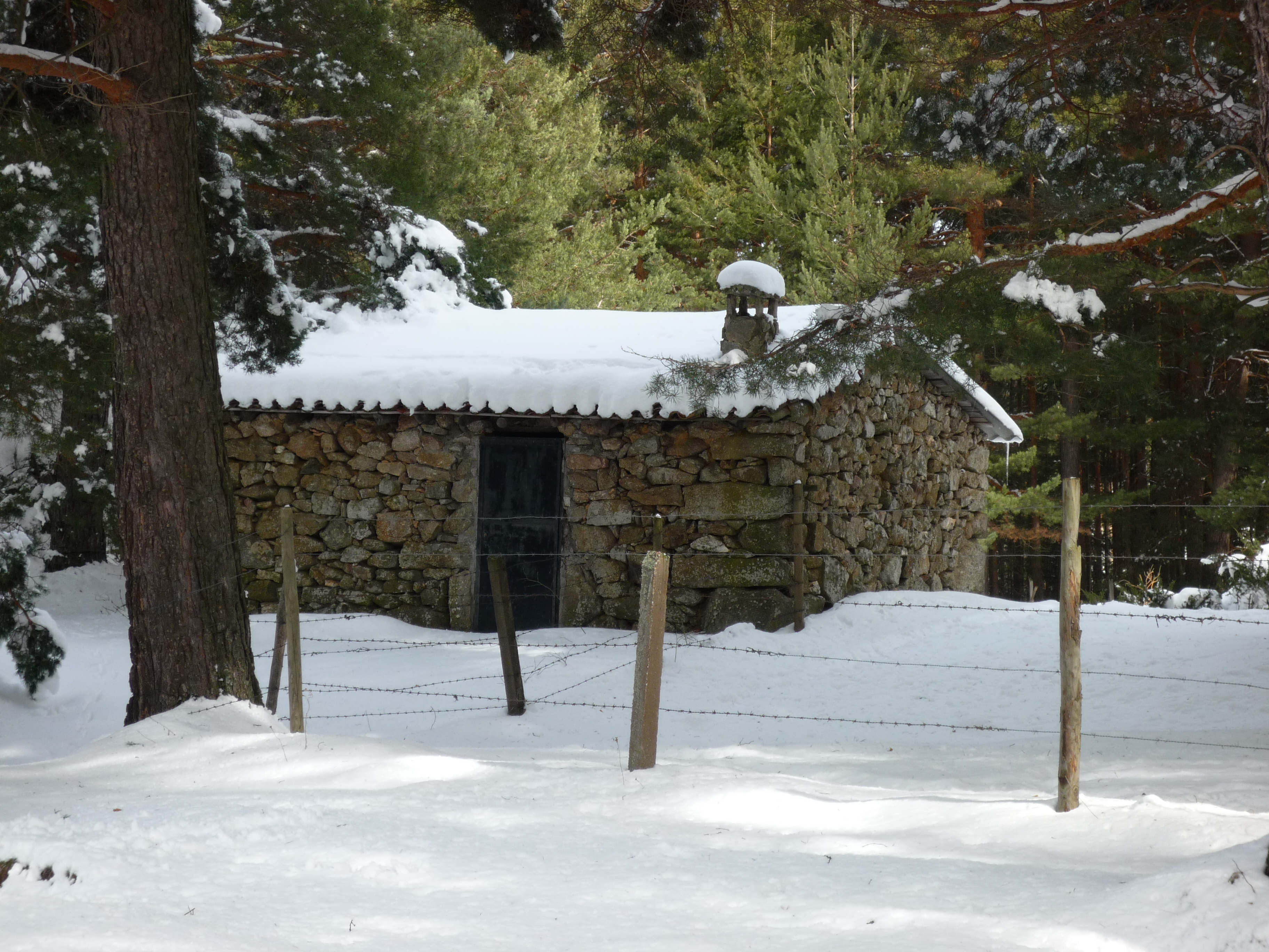 Caseta de pastores