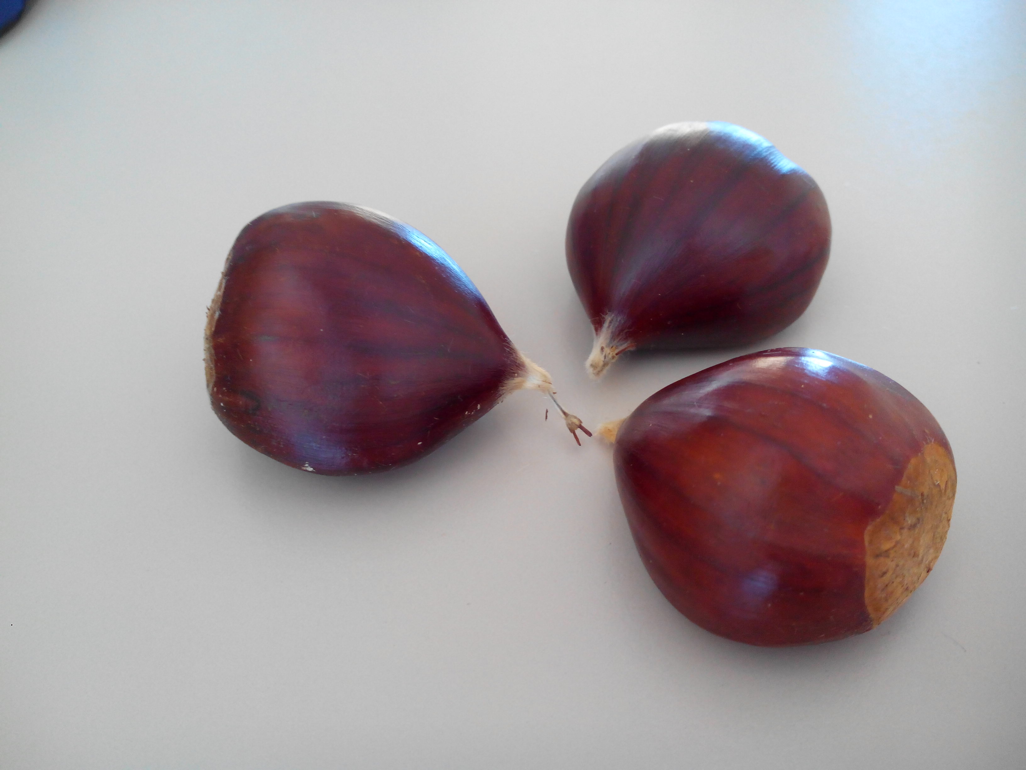 Castañas