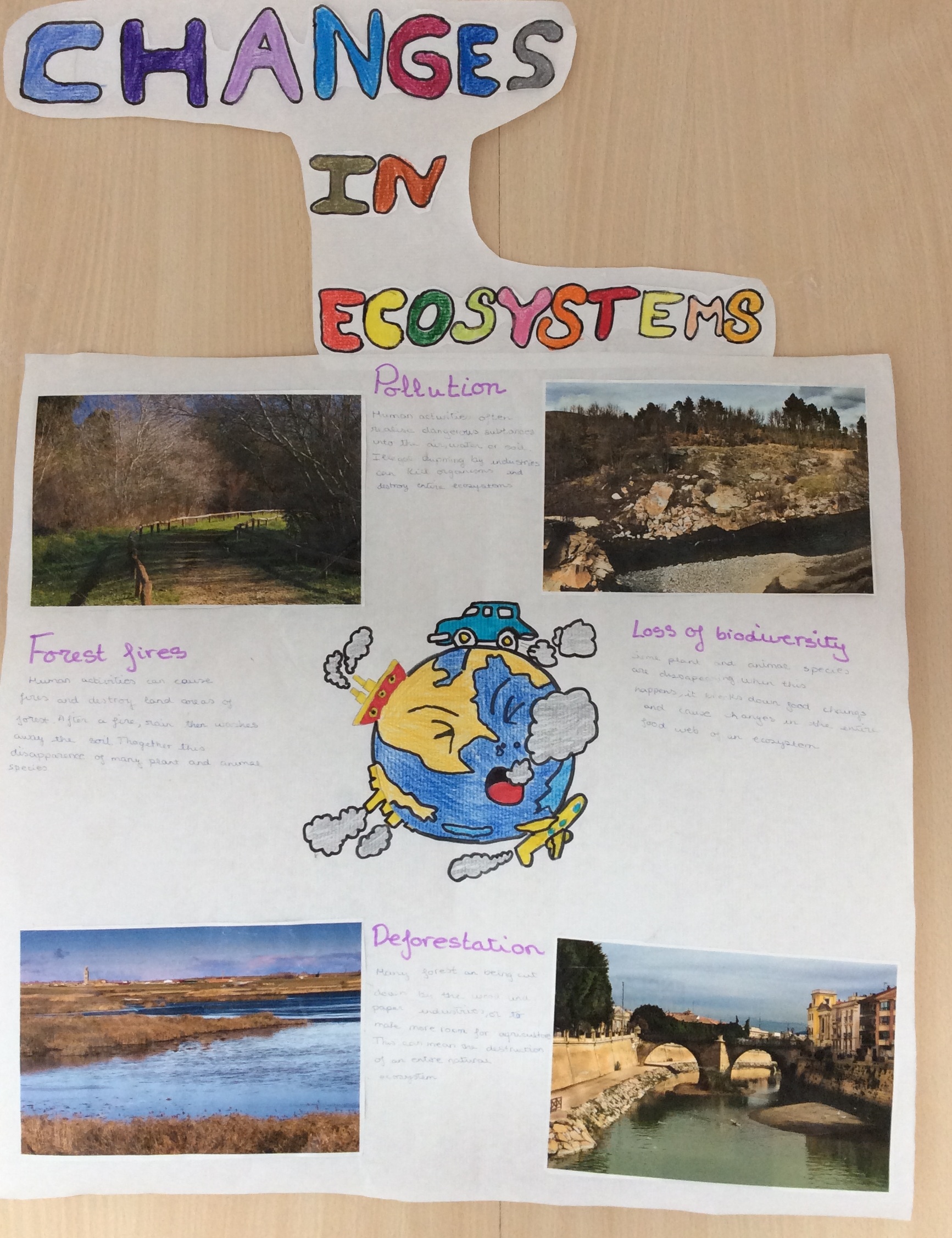 Changes in ecosystems