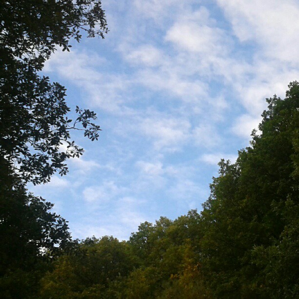 Cielo