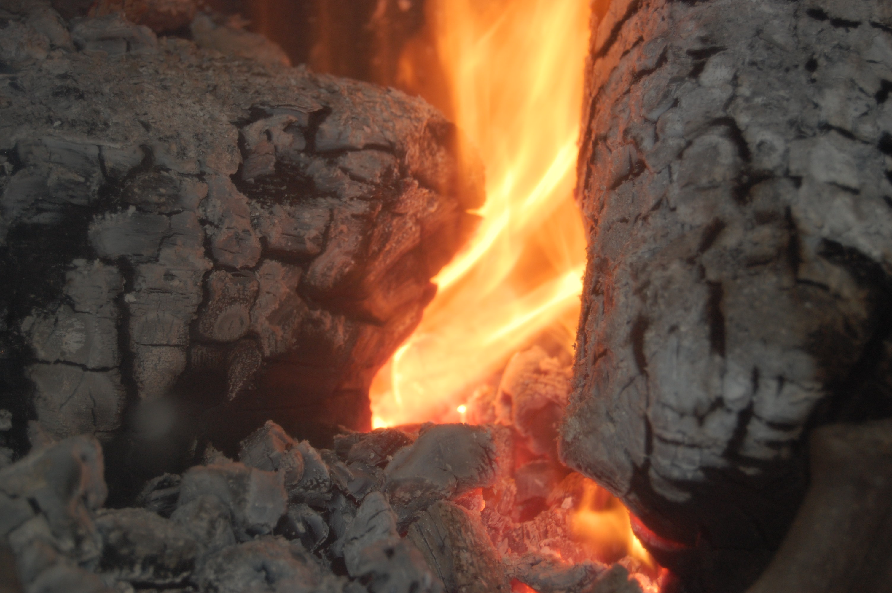 Combustión