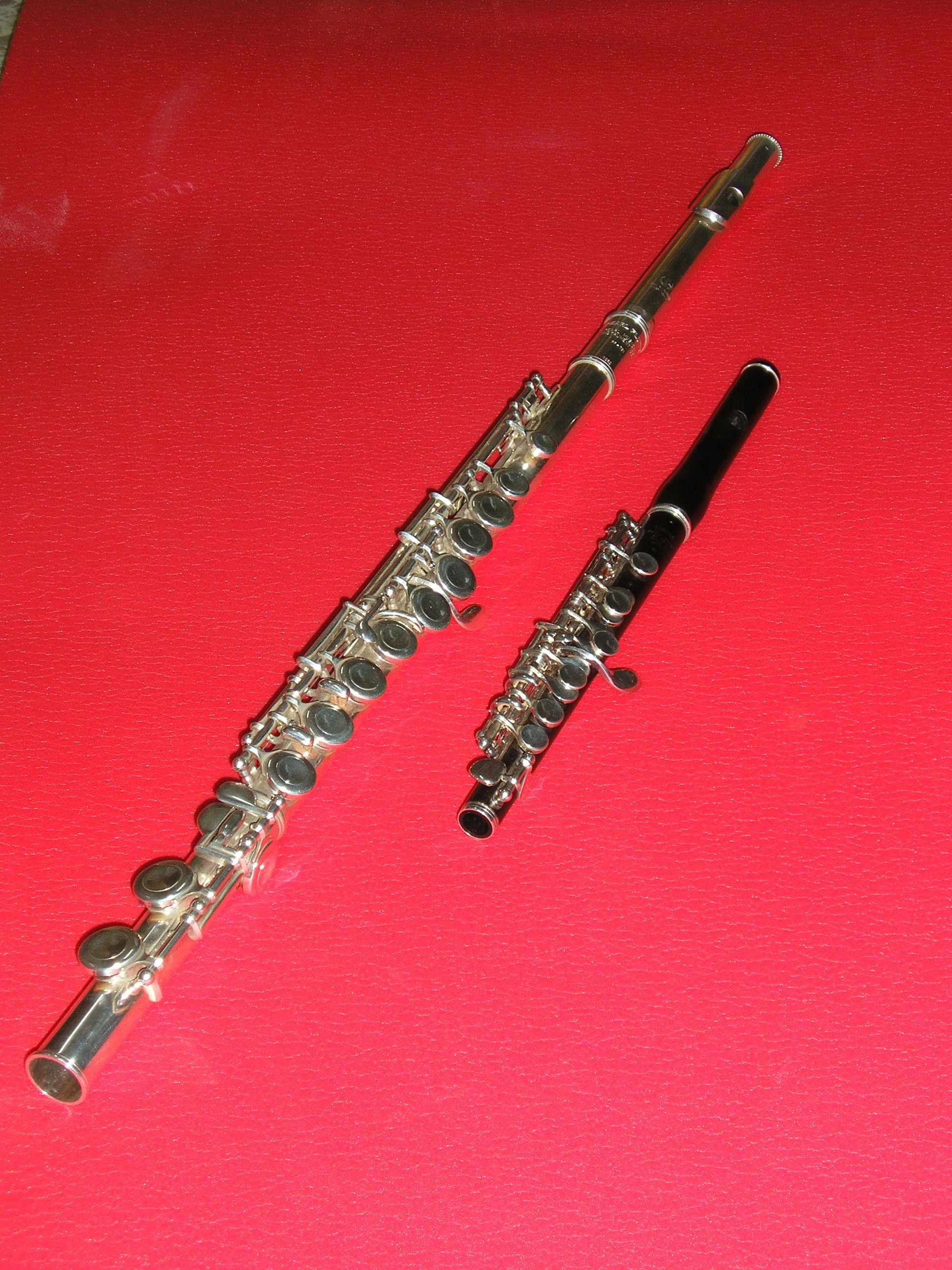 Flauta travesera y flautín